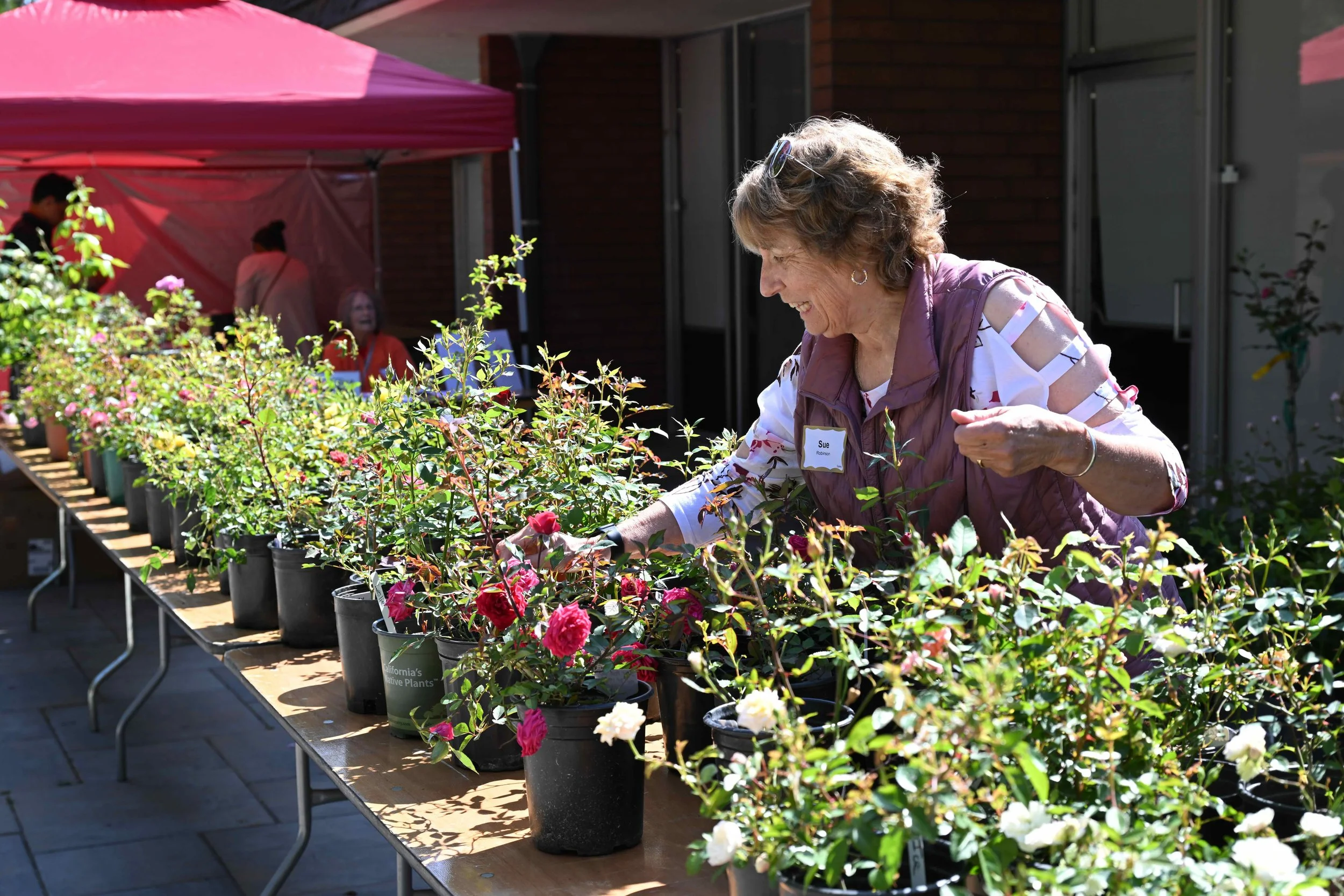annual_roseshow_2025_02_sales_web.jpeg