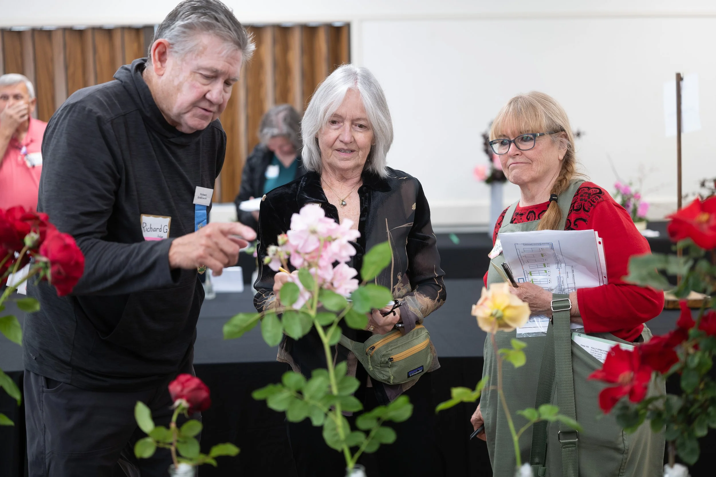 annual_roseshow_2024_01_judging.jpg