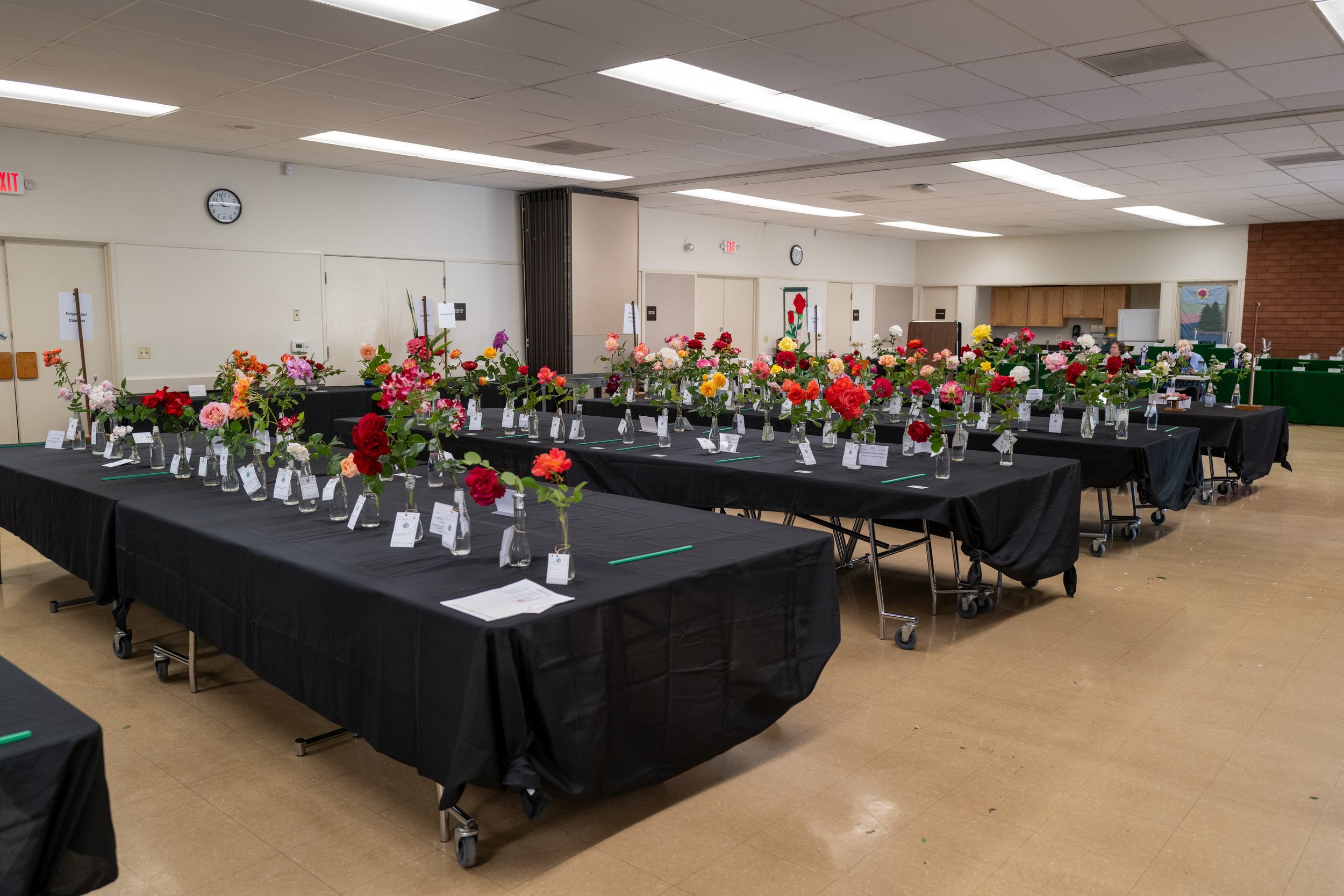 annual_roseshow_2025_07_tables.jpg