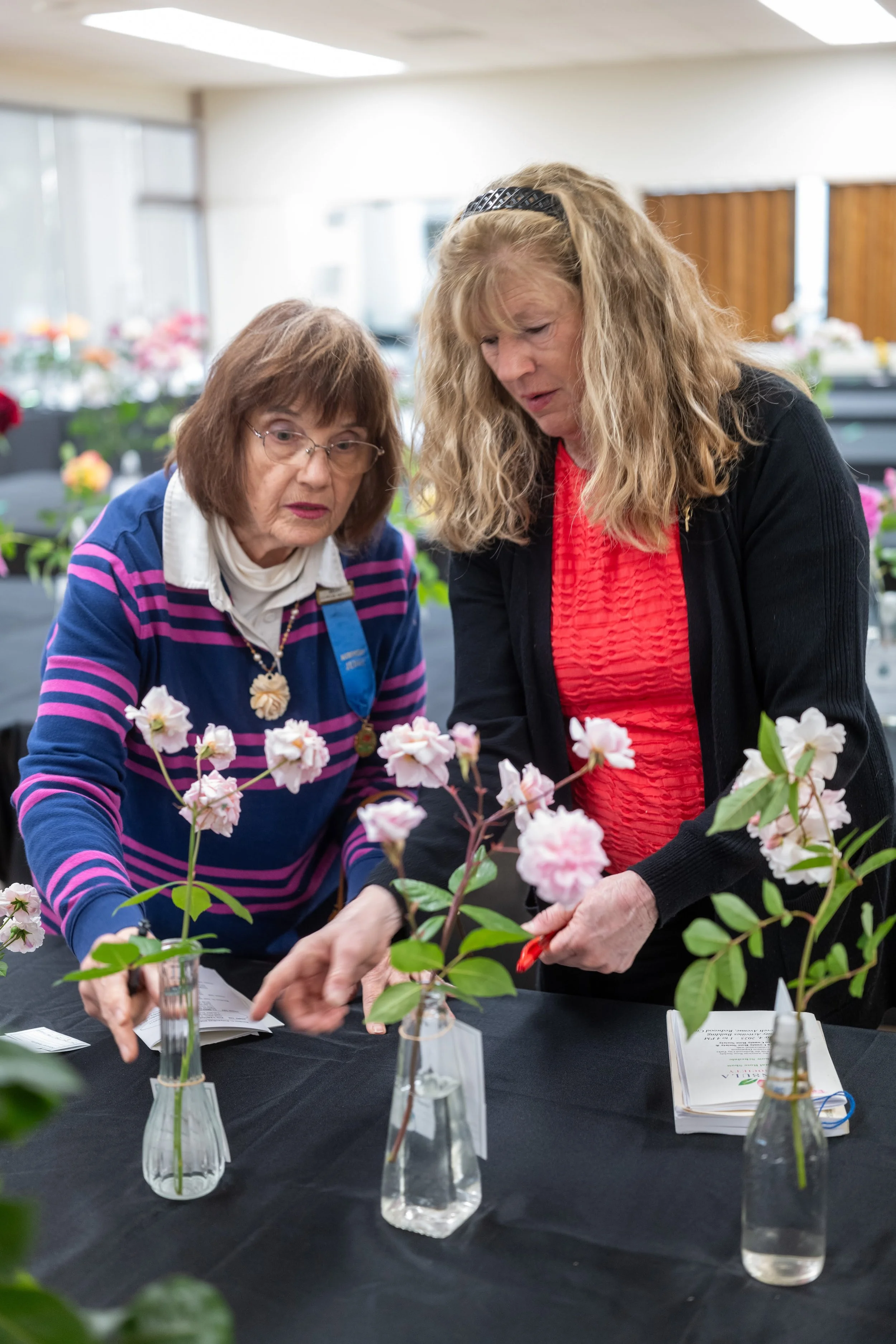 annual_roseshow_2025_01_judging.jpg