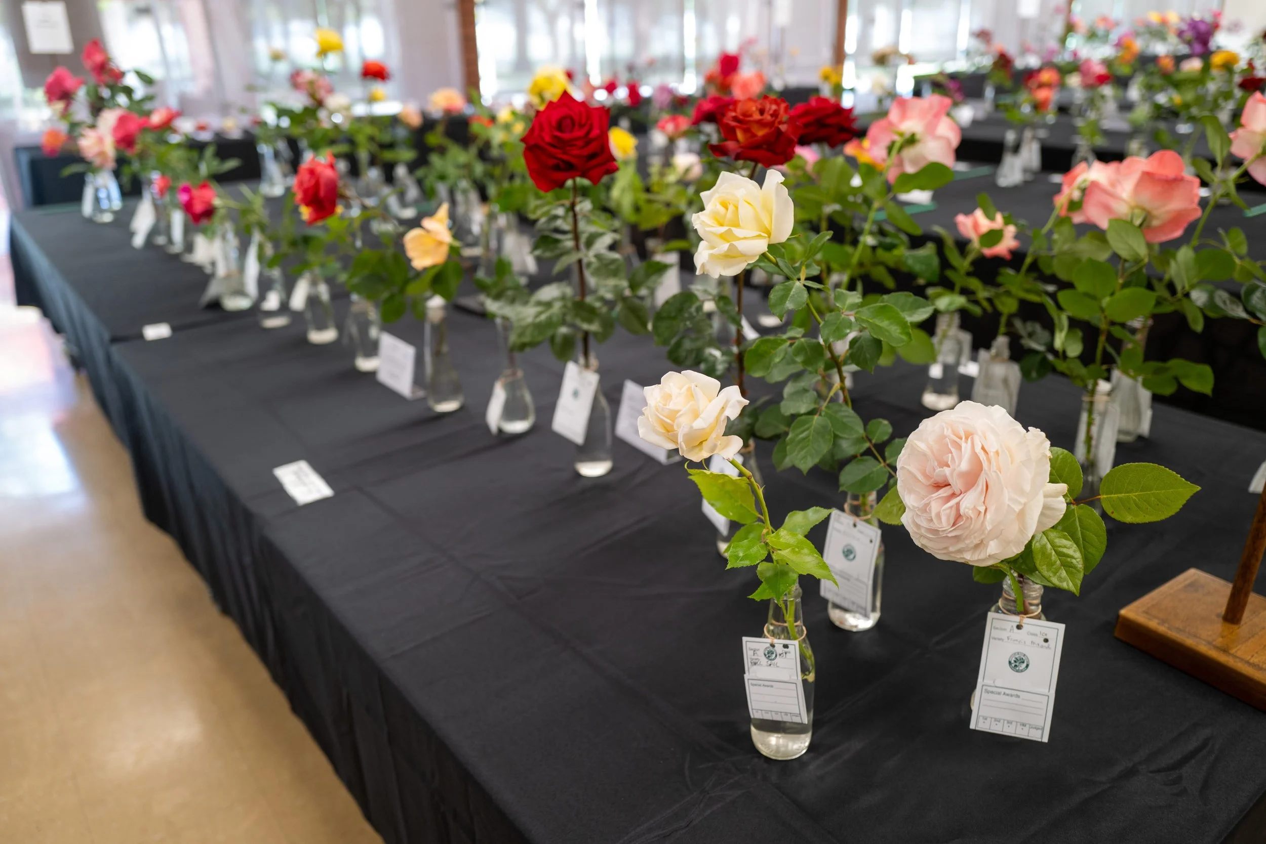 annual_roseshow_2025_08_tables.jpg