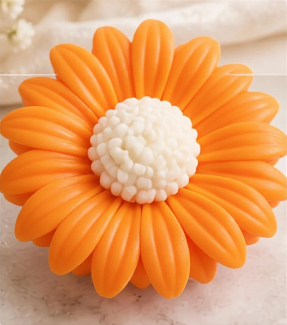 Orange Daisy.jpg