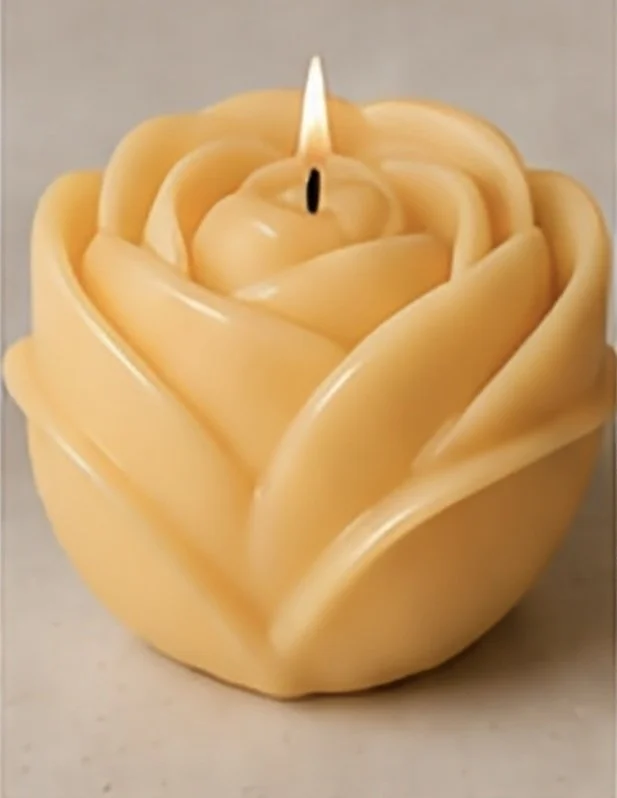 Soleil D'or Rose.jpg