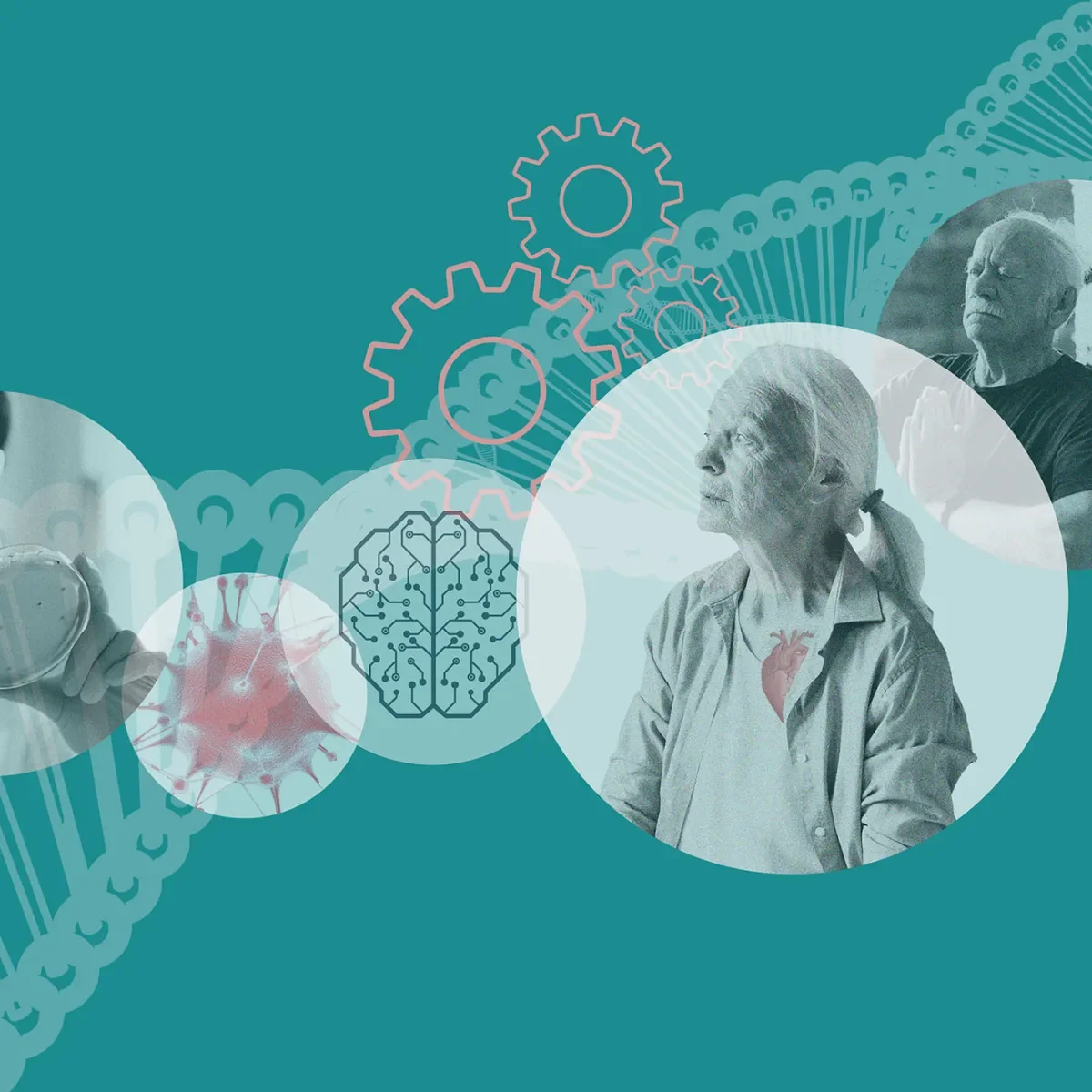 The Longevity Industry Is No Longer Fringe: These Companies Are Taking It Seriously