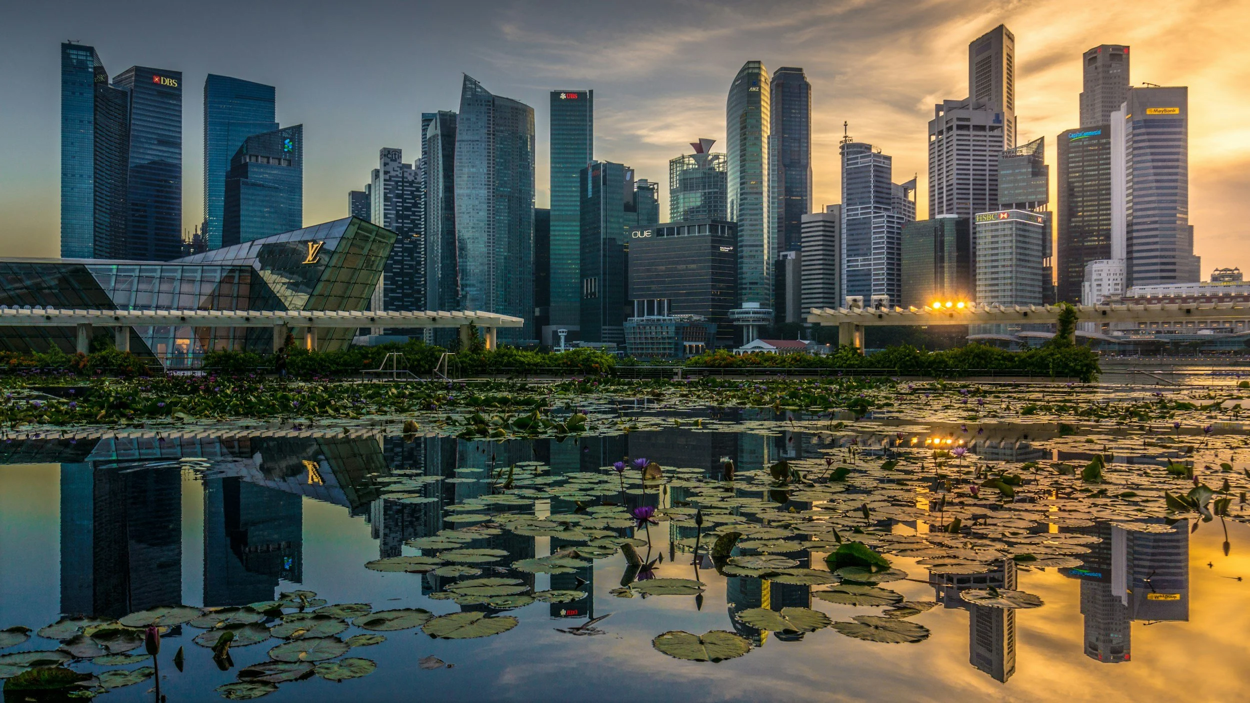 City skyline at sunset with skyscrapers reflected in a body of water covered with lily pads and flowers.