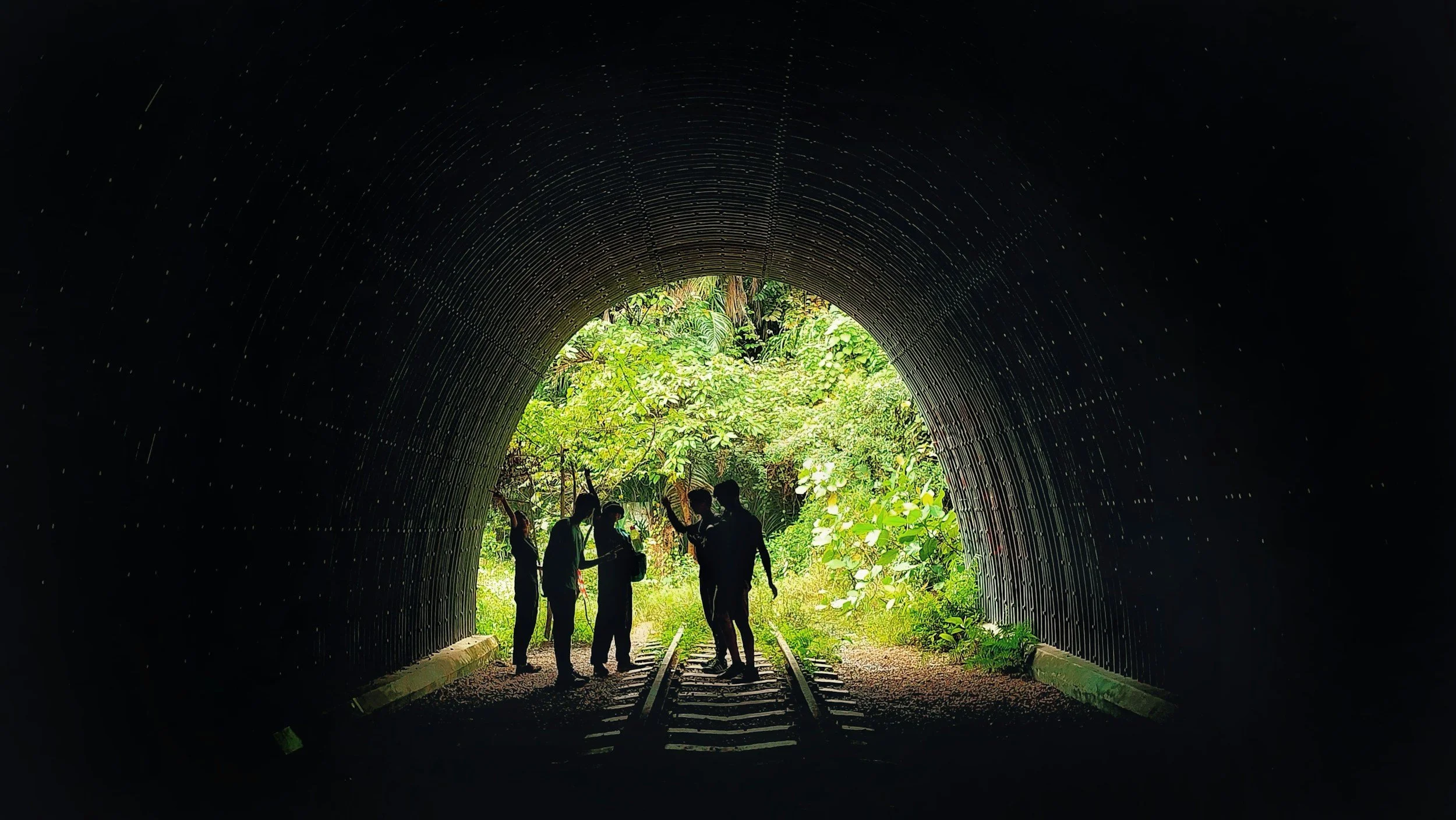 People standing inside a tunnel made of metal, opening to a lush green forest outside.