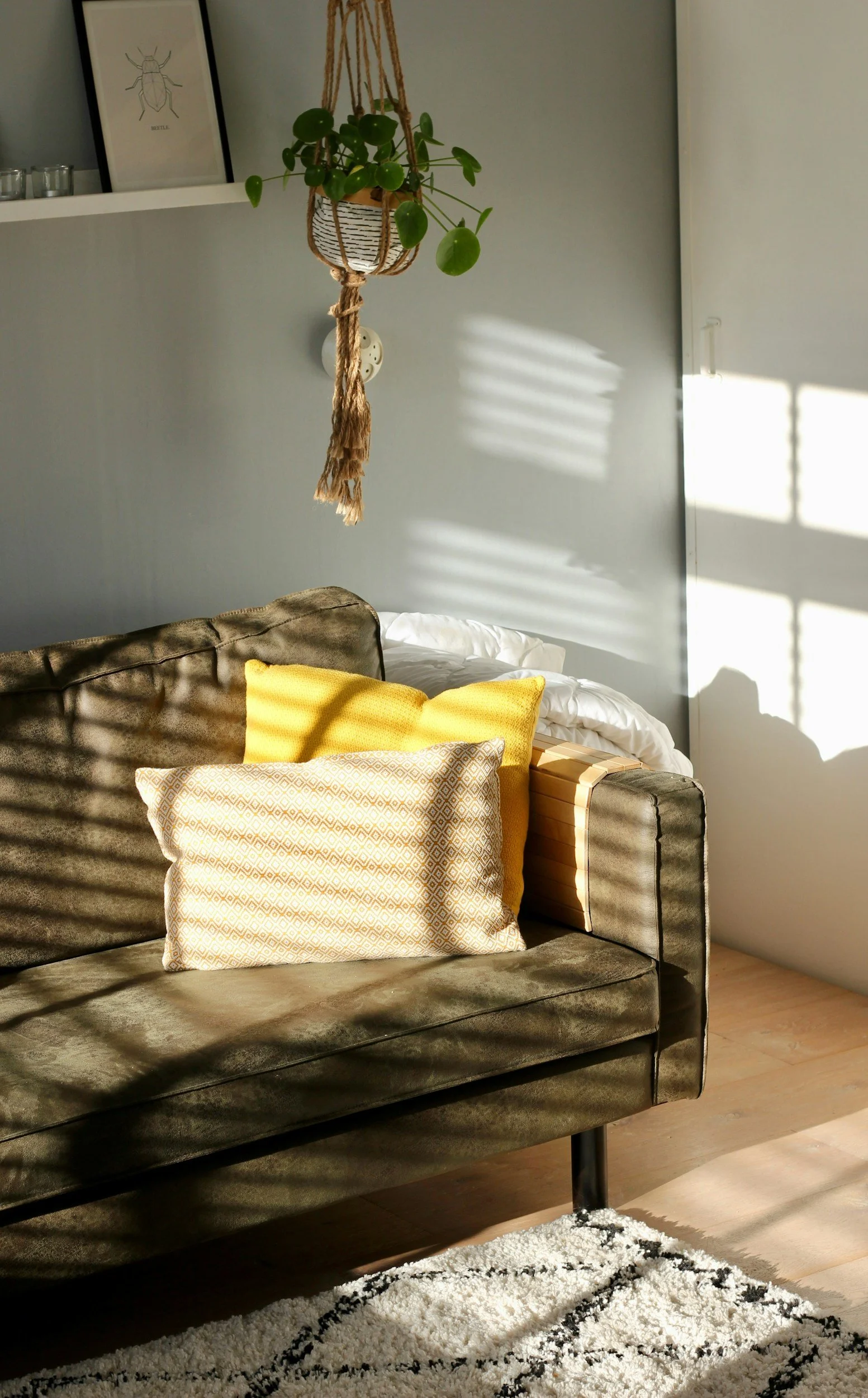 A living room corner with a dark grey velvet sofa holding two yellow pillows and a cream pillow with a geometric pattern. Light streams through window blinds, casting shadows on a white wall. Above the sofa is a hanging plant in a striped pot, and on a white shelf is framed art of a beetle with candles.