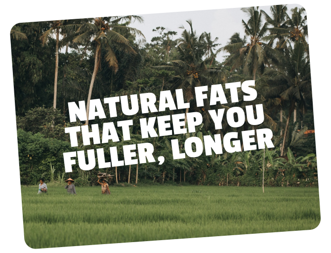 Lush green field with palm trees in the background and three people walking in the field, with bold white text overlay that reads "Natural Fats That Keep You Fuller, Longer".