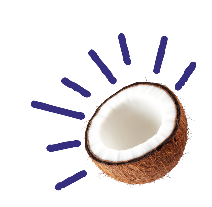Half of a coconut with brown husk and white inside, isolated on a transparent background.