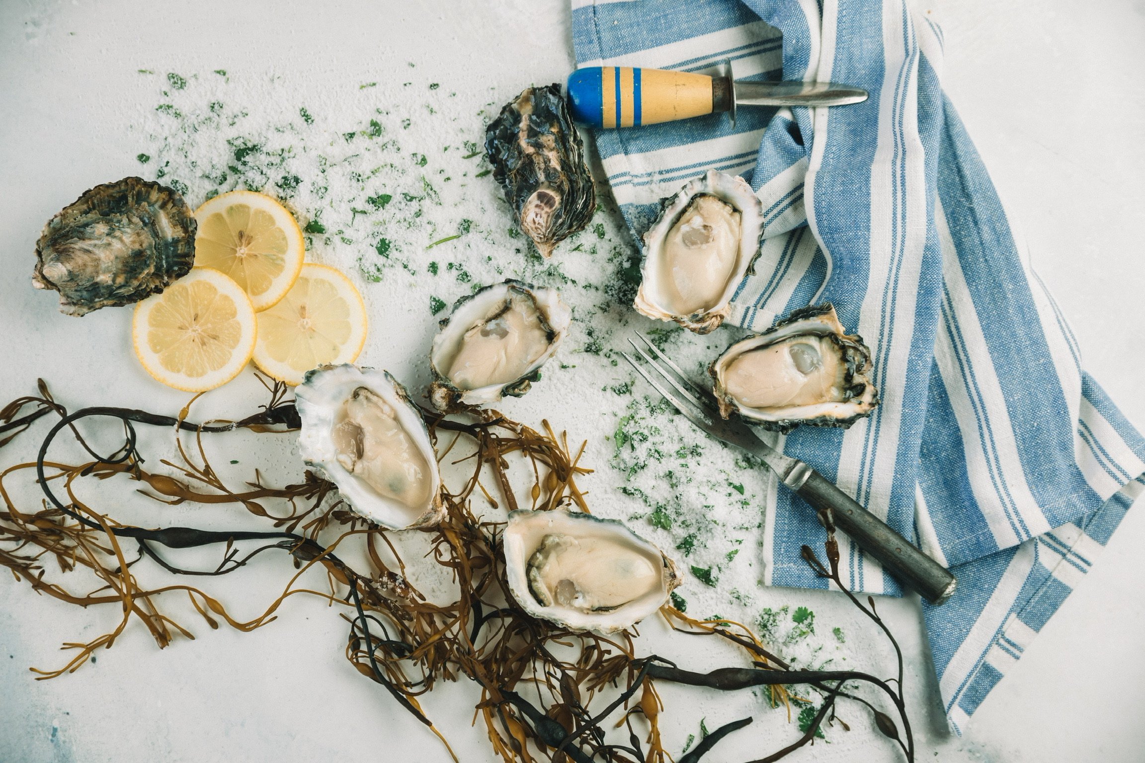 Fresh oysters on the half shell with lemon slices, seaweed, and a blue-striped towel with oyster shucking tools.