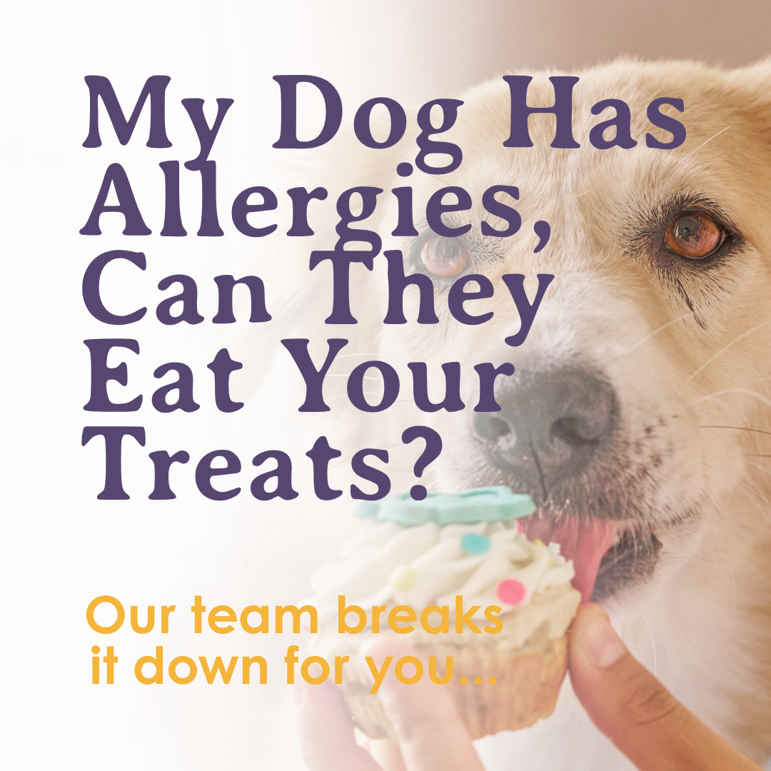 My Dog Has Allergies, Can They Eat Your Treats?