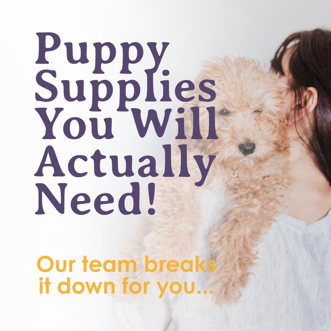 What Do First-Time Puppy Owners Actually Need? A No-Fluff Checklist