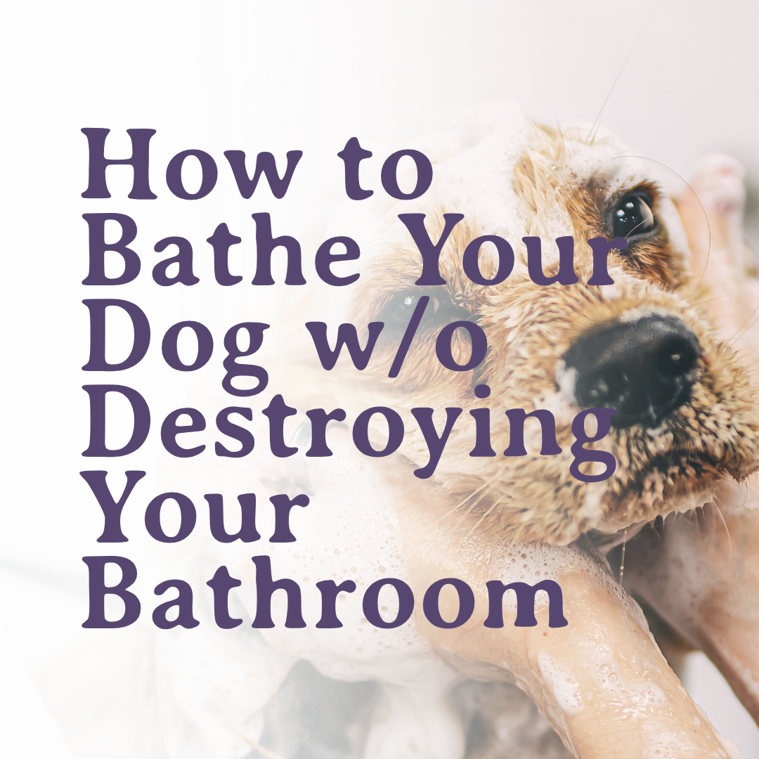 Self-Wash 101: How to Bathe Your Dog Without Destroying Your Bathroom