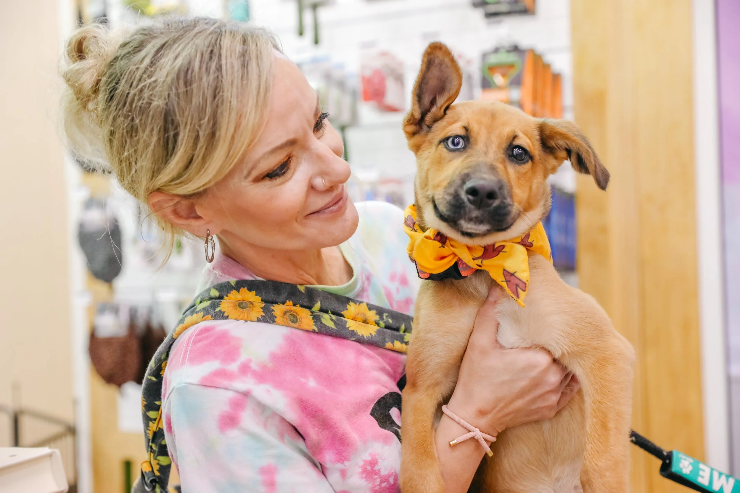 A woman with blond hair holding a tan puppy with blue eyes, who is wearing a yellow bandana, inside a veterinary or pet store.