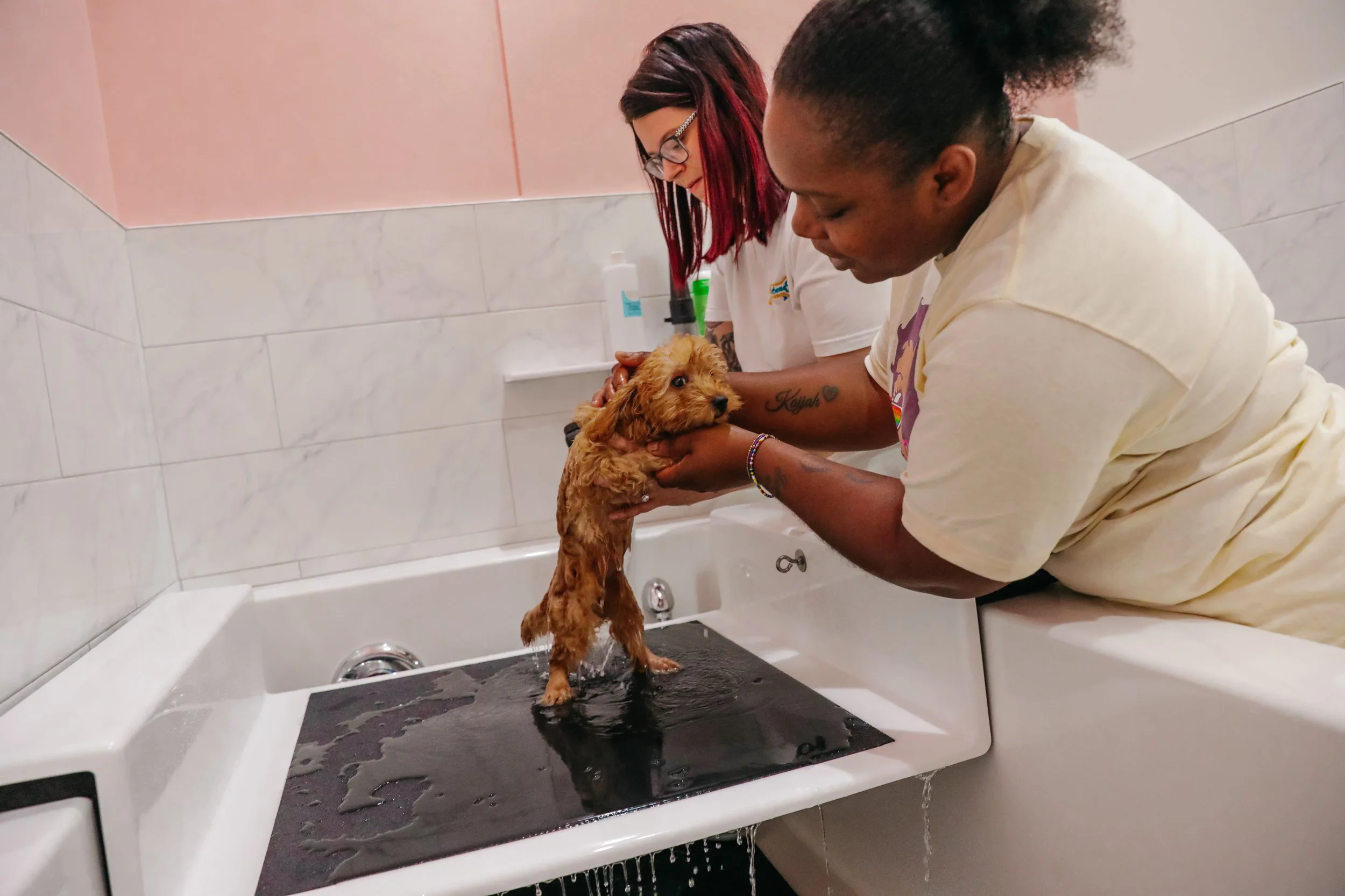 A woman in yellow shirt and a woman in glasses and tattoos are giving a bath to a small brown poodle puppy in a bathroom sink. Water is running and the puppy is standing in the sink, supported by the woman in yellow.