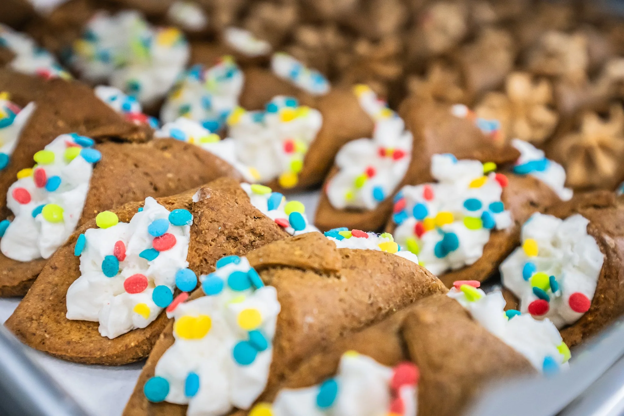 Close-up of chocolate cookies with dollops of white icing and colorful sprinkles on top.