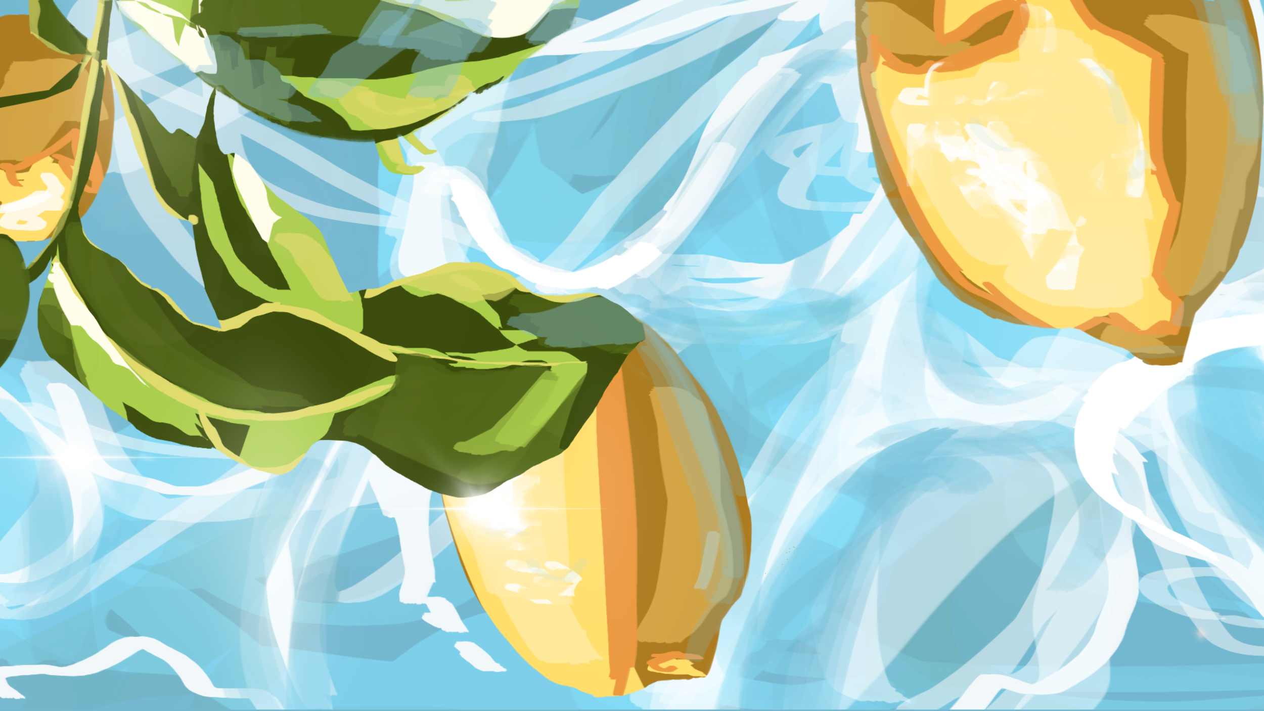 IMG_2522.PNG
