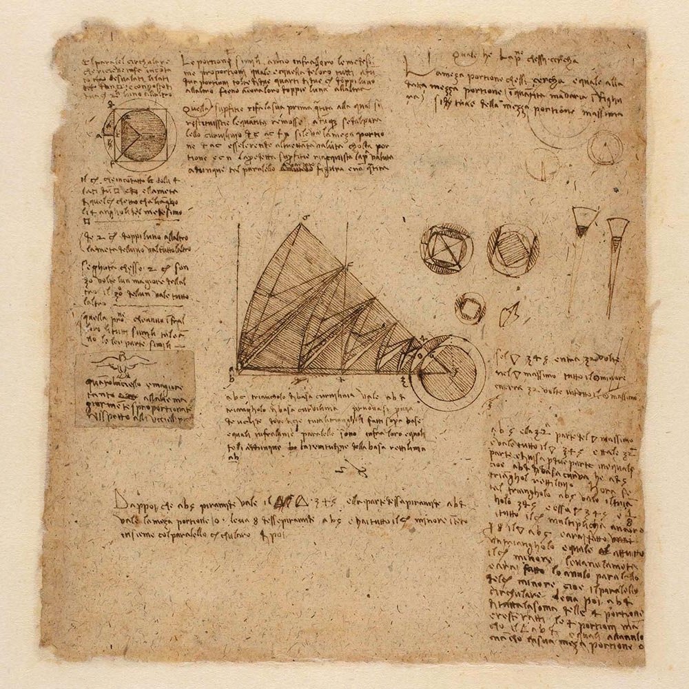Davinci Illustration
