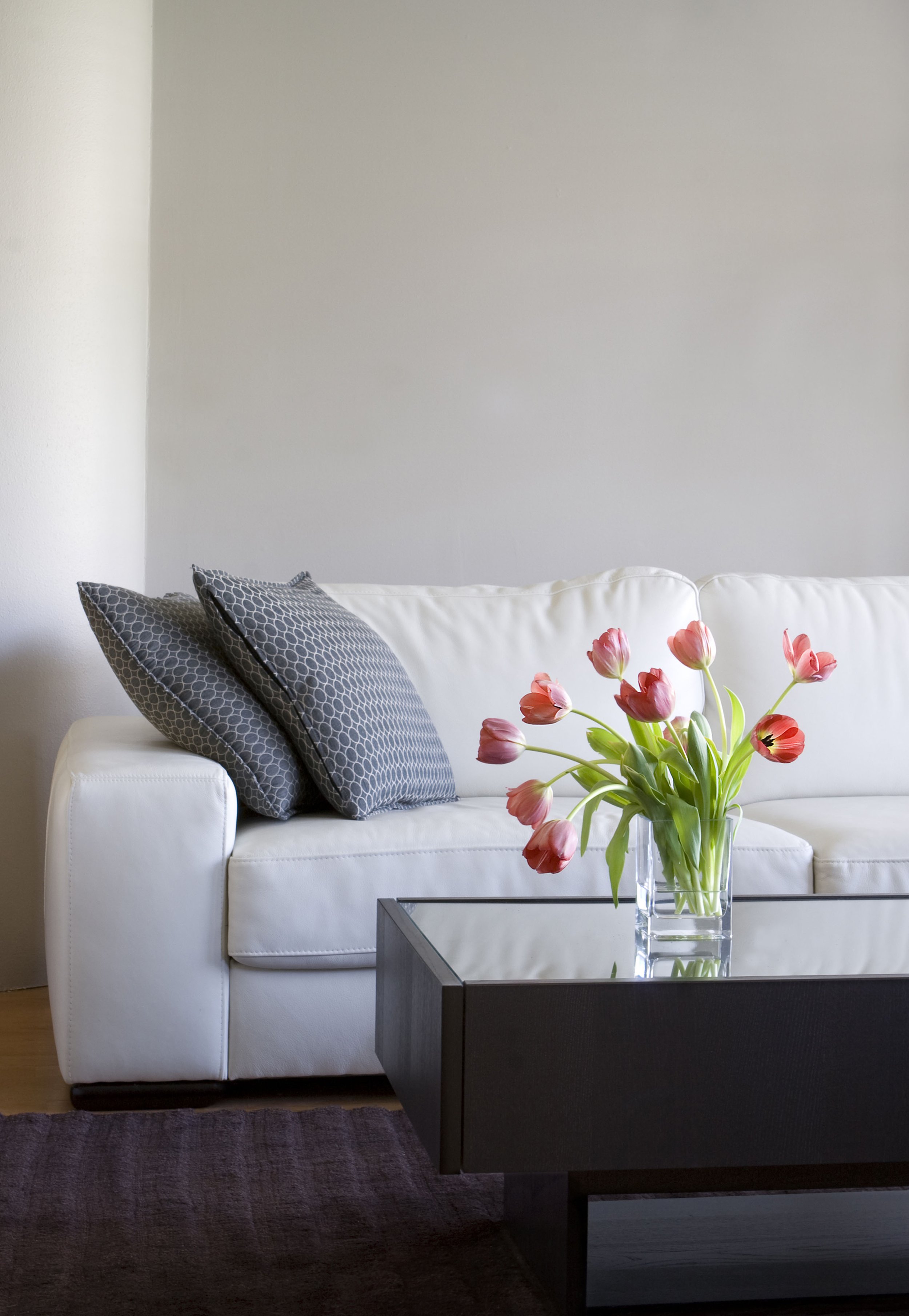 🌸 Insiders Guide: Spring has Sprung
