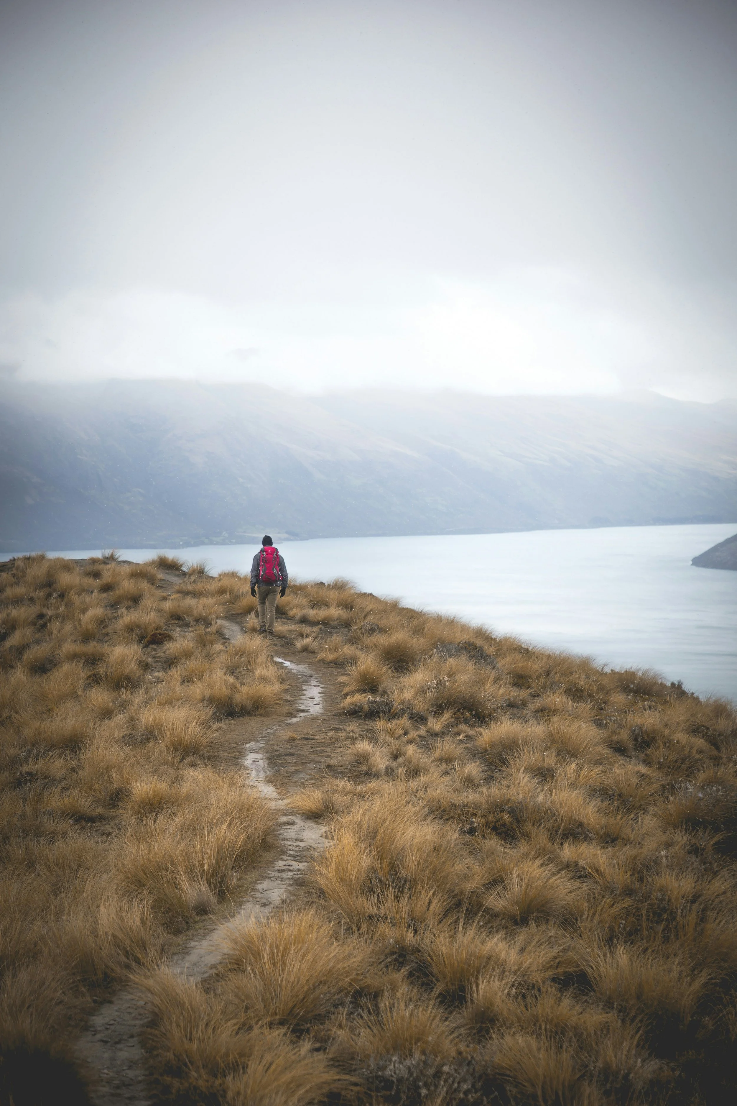 25 Free Things to Do in Queenstown (A Local's Guide)