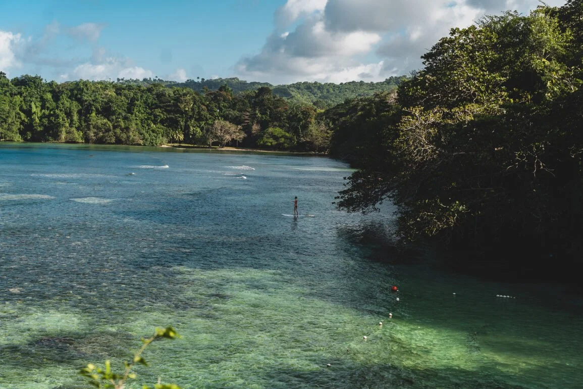 Calm ocean cove surrounded by trees in Jamaica.