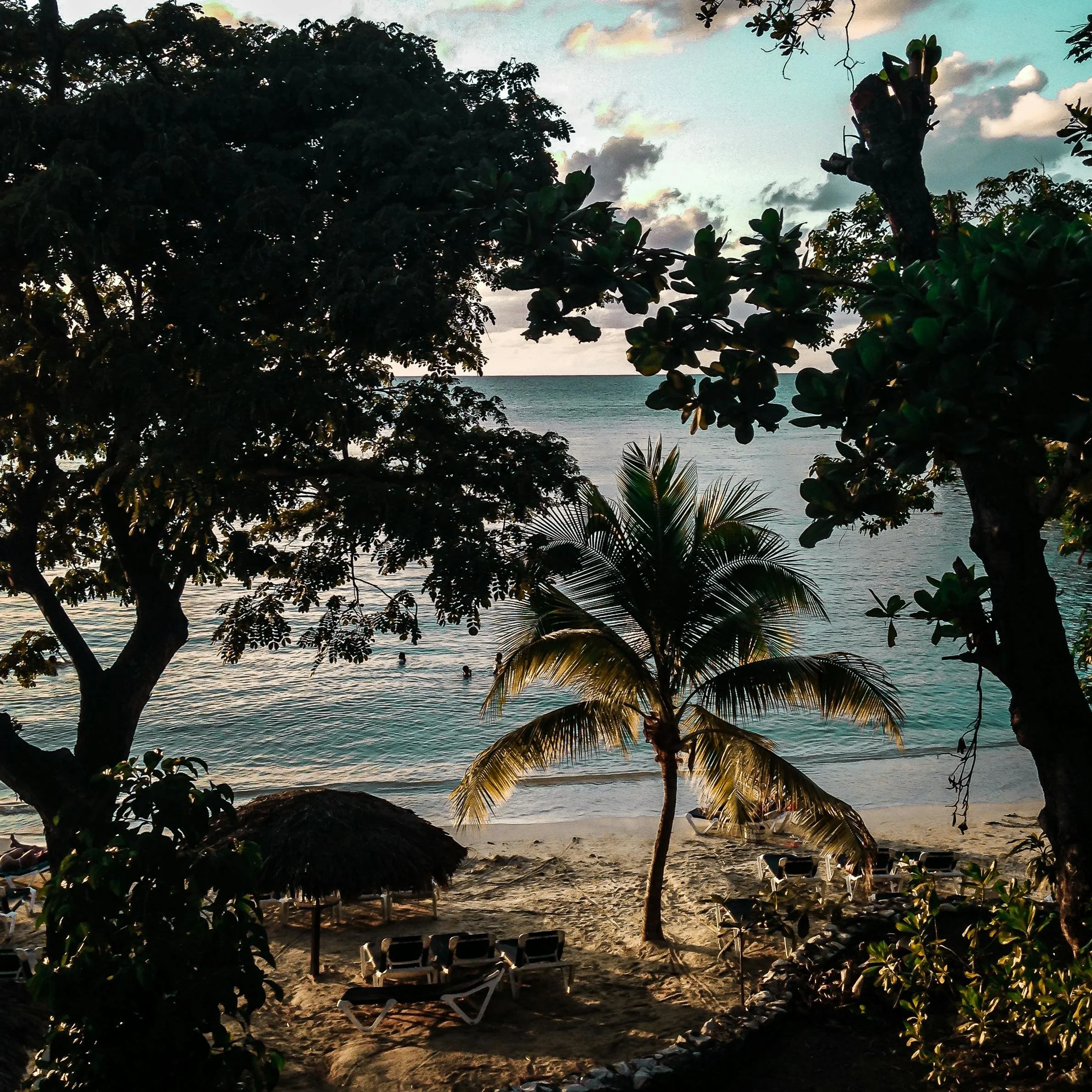 View of palm trees and ocean from the beach in Portland, Jamaica.