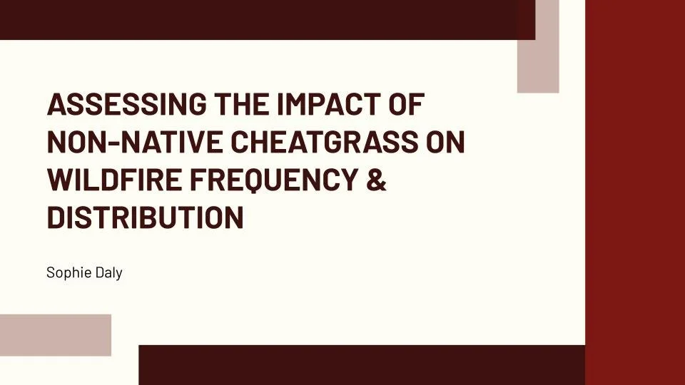 Slide title: 'Assessing the Impact of Non-Native Cheatgrass on Wildfire Frequency & Distribution' by Sophie Daly