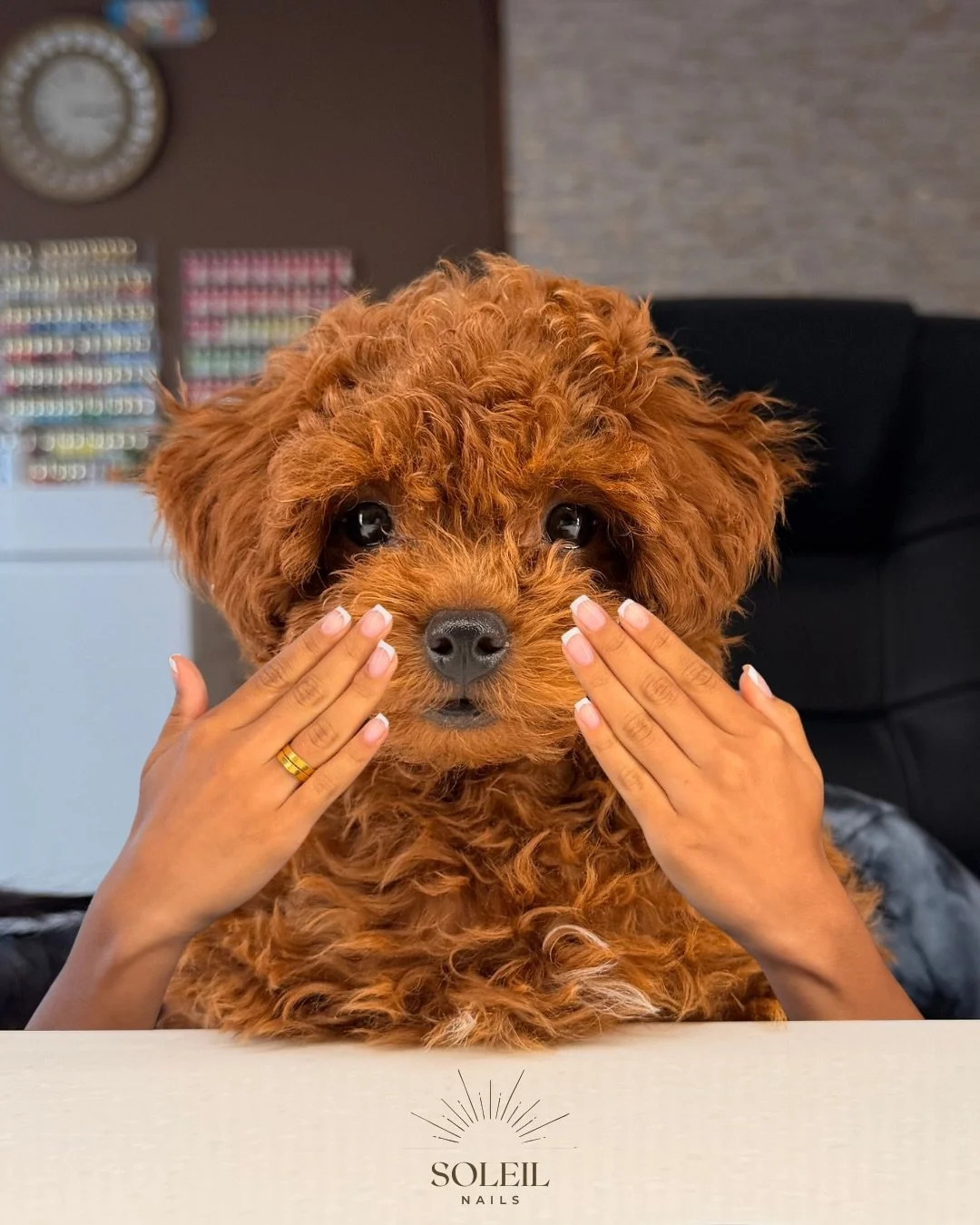 Just a simple French with a little pawsonality. 🤍

#buffalo #newyork #nails #puppy
