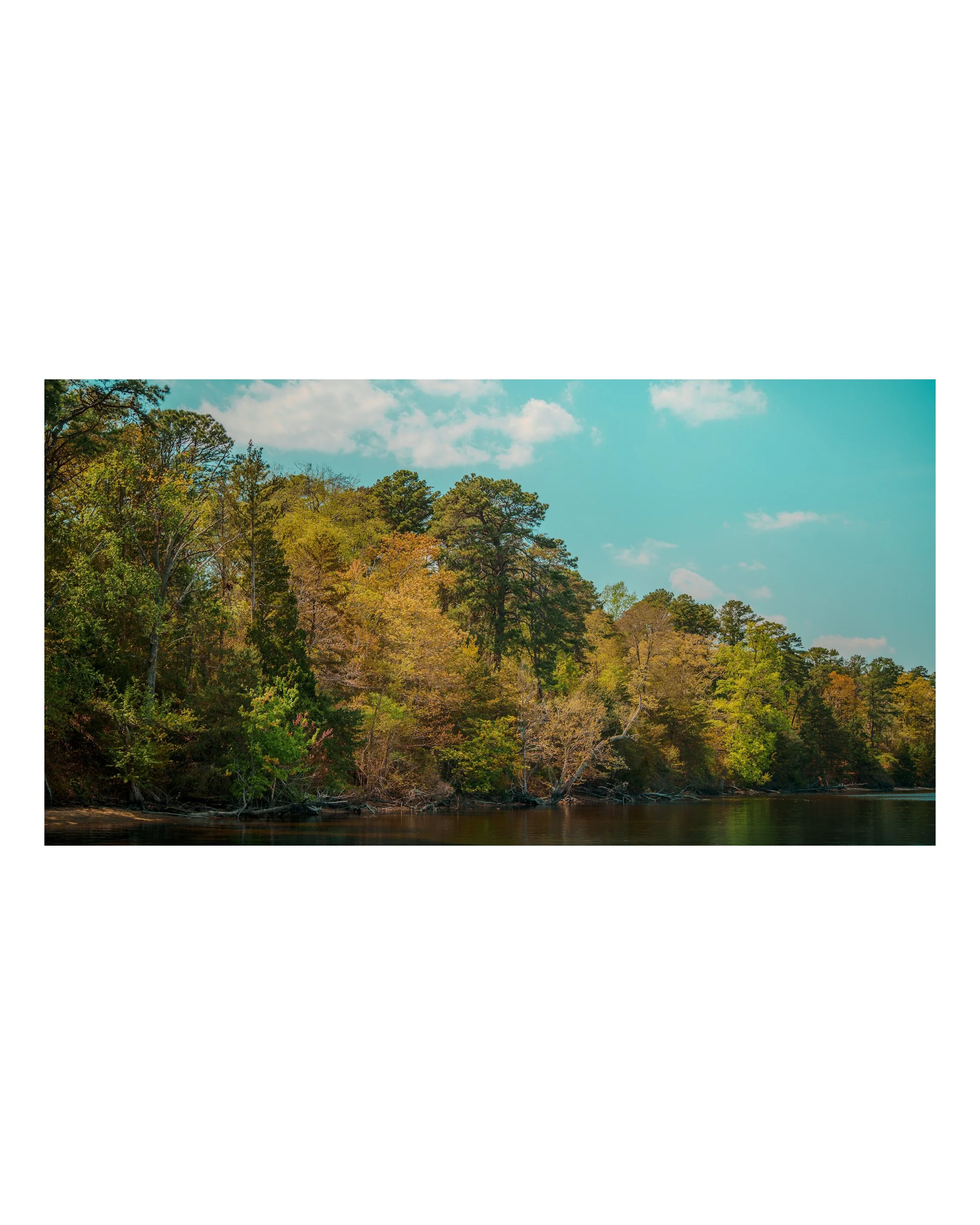 A scenic view of a forested area along a river, with trees in fall colors and a blue sky with some clouds.