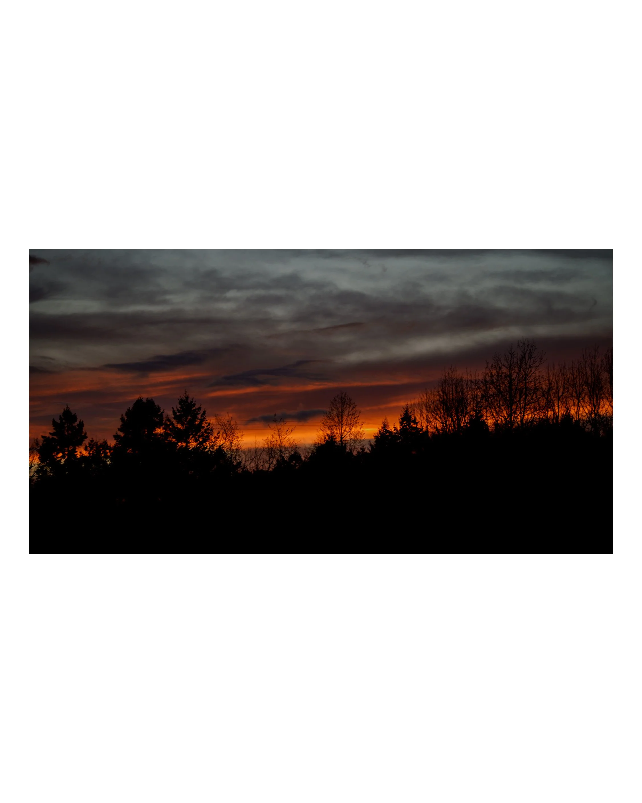 A landscape photo of a sunset sky with gray clouds and orange hues near the horizon, with silhouettes of trees in the foreground.