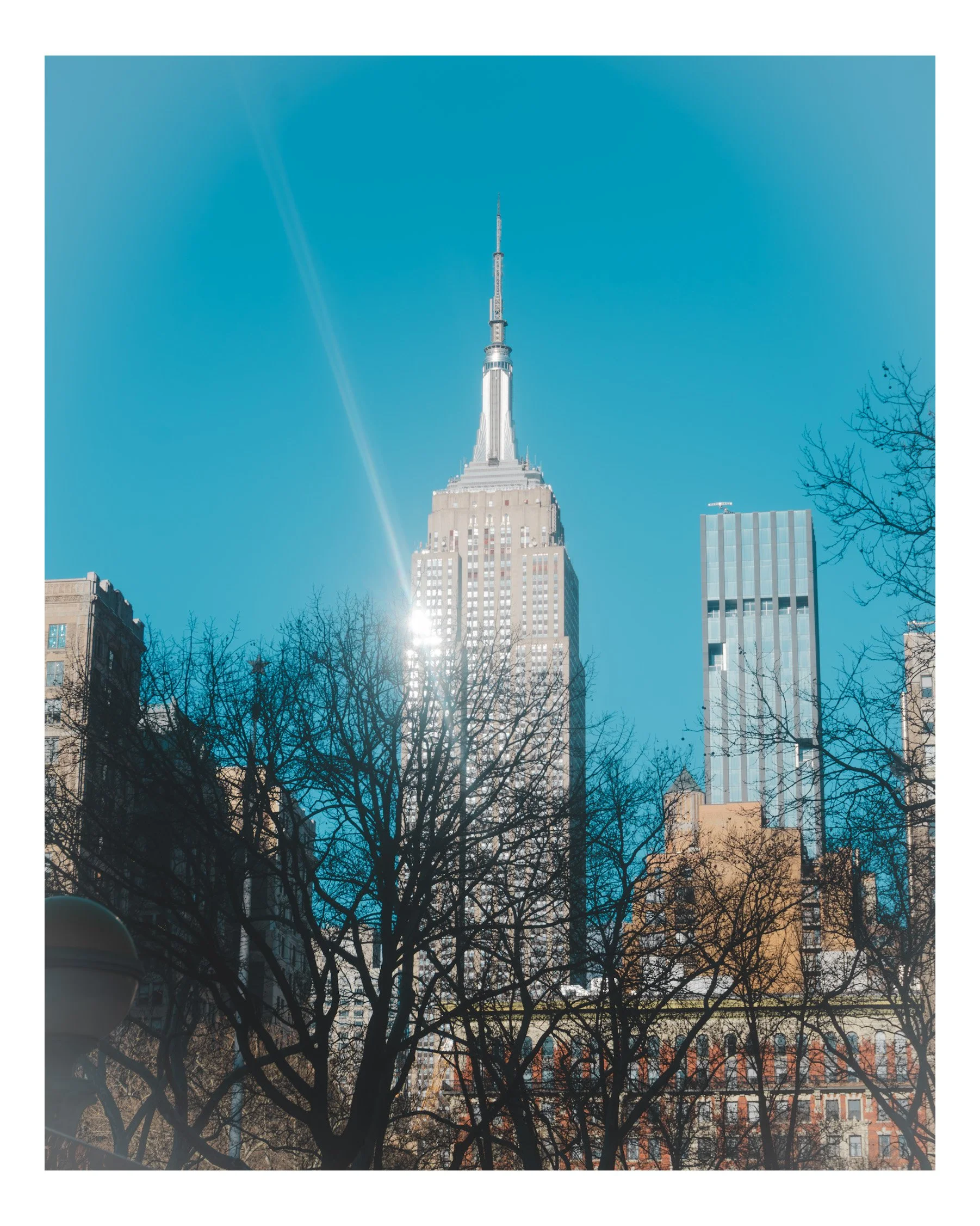The Empire State Building viewed from a city street, with silhouetted leafless trees in the foreground and other buildings in the background, under a clear blue sky.