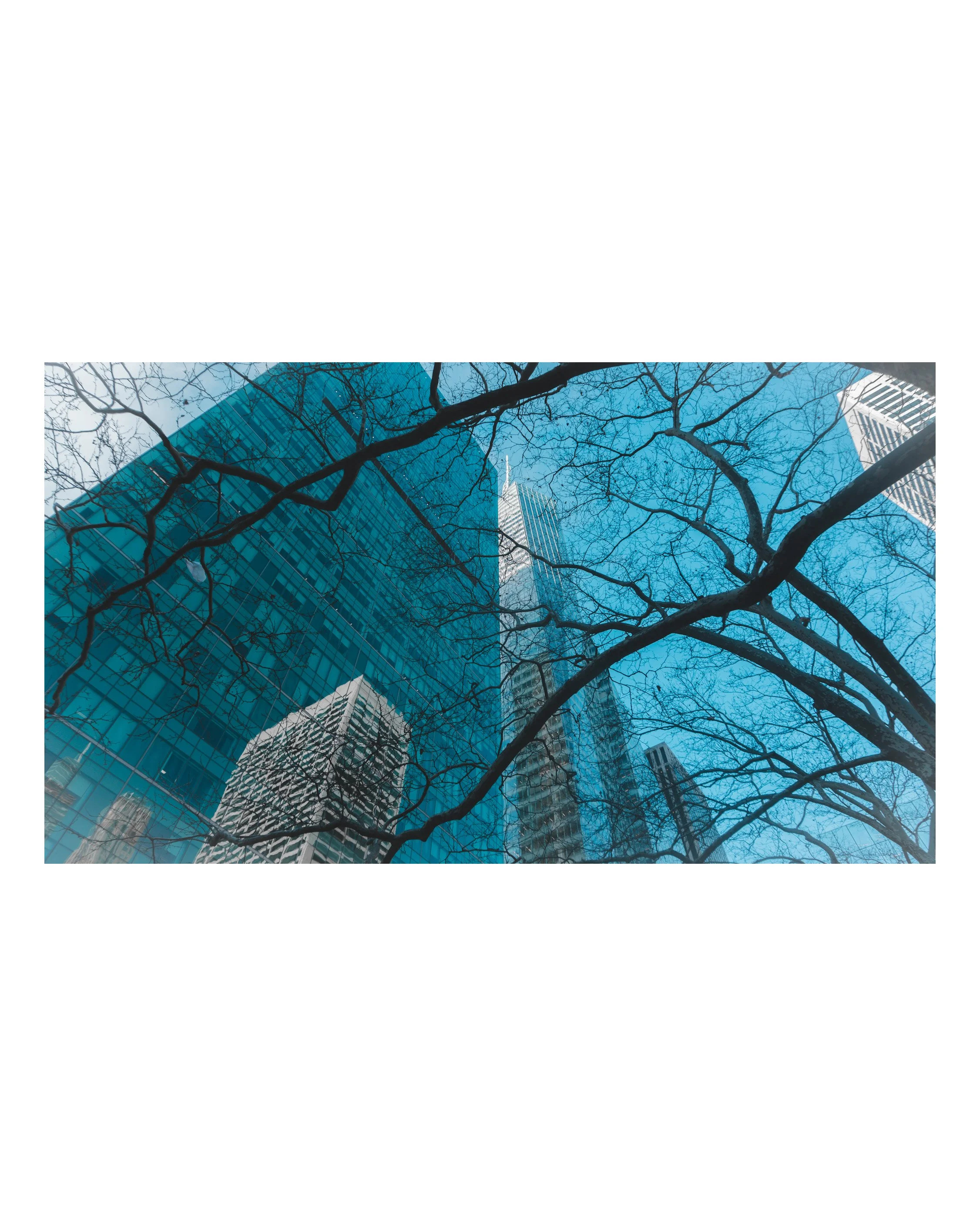 Low-angle view of a modern skyscraper with glass windows reflecting the sky, and leafless tree branches in the foreground.