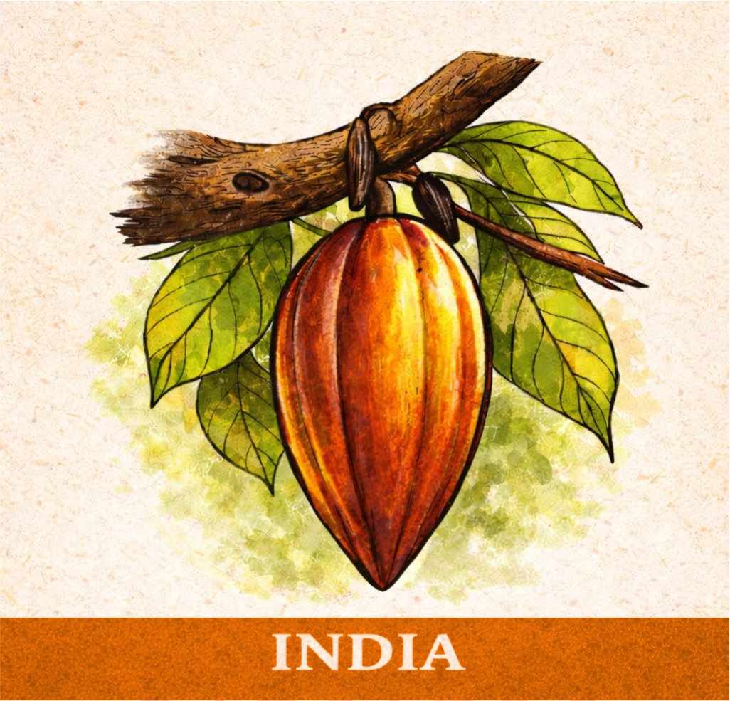 India.jpg