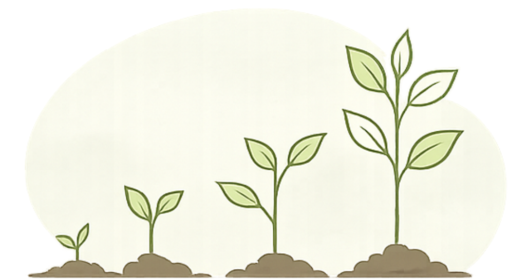 Illustration of plant growth stages showing small seedlings to mature plants with multiple leaves.