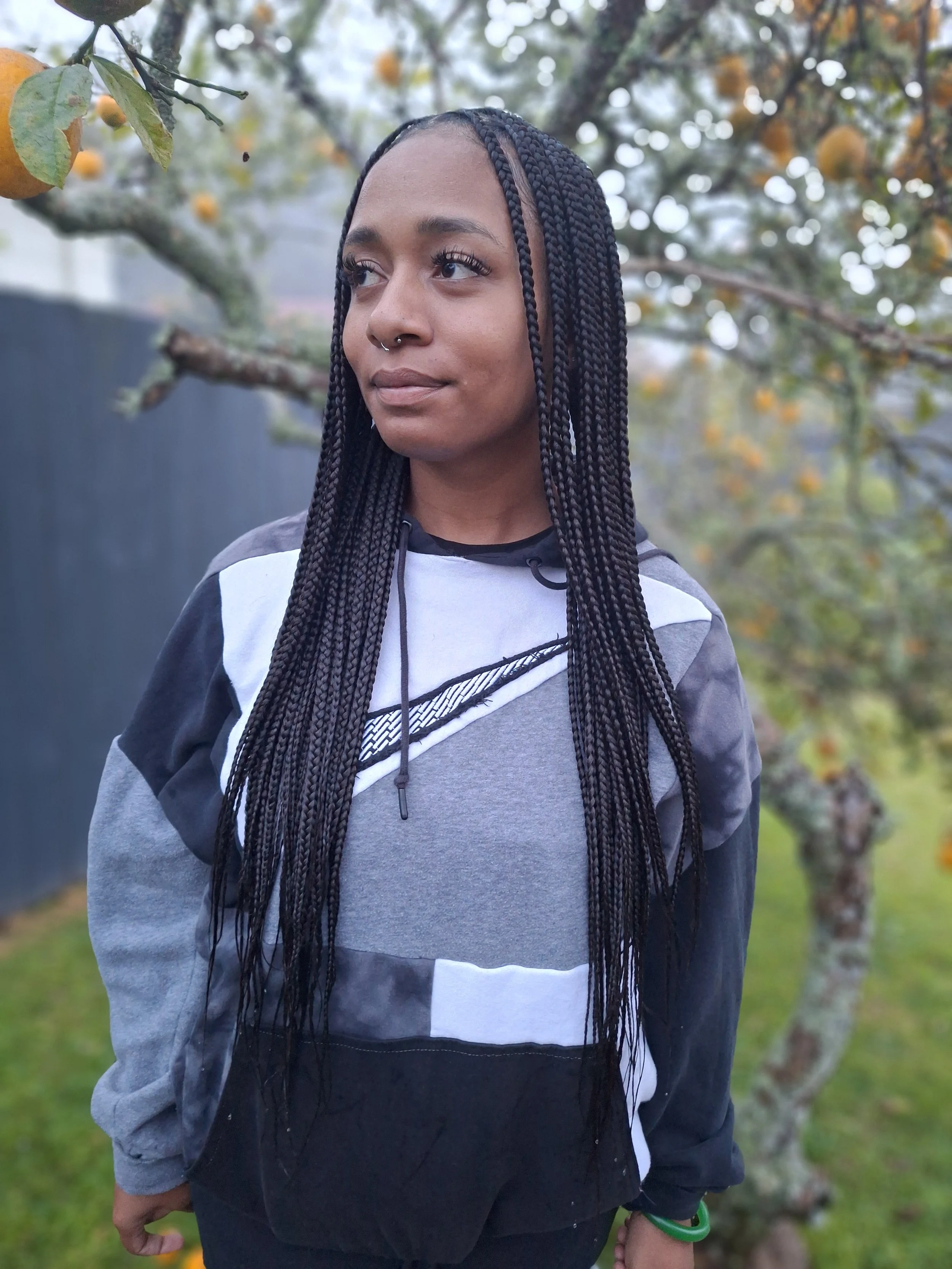 Smal knotless Braids
