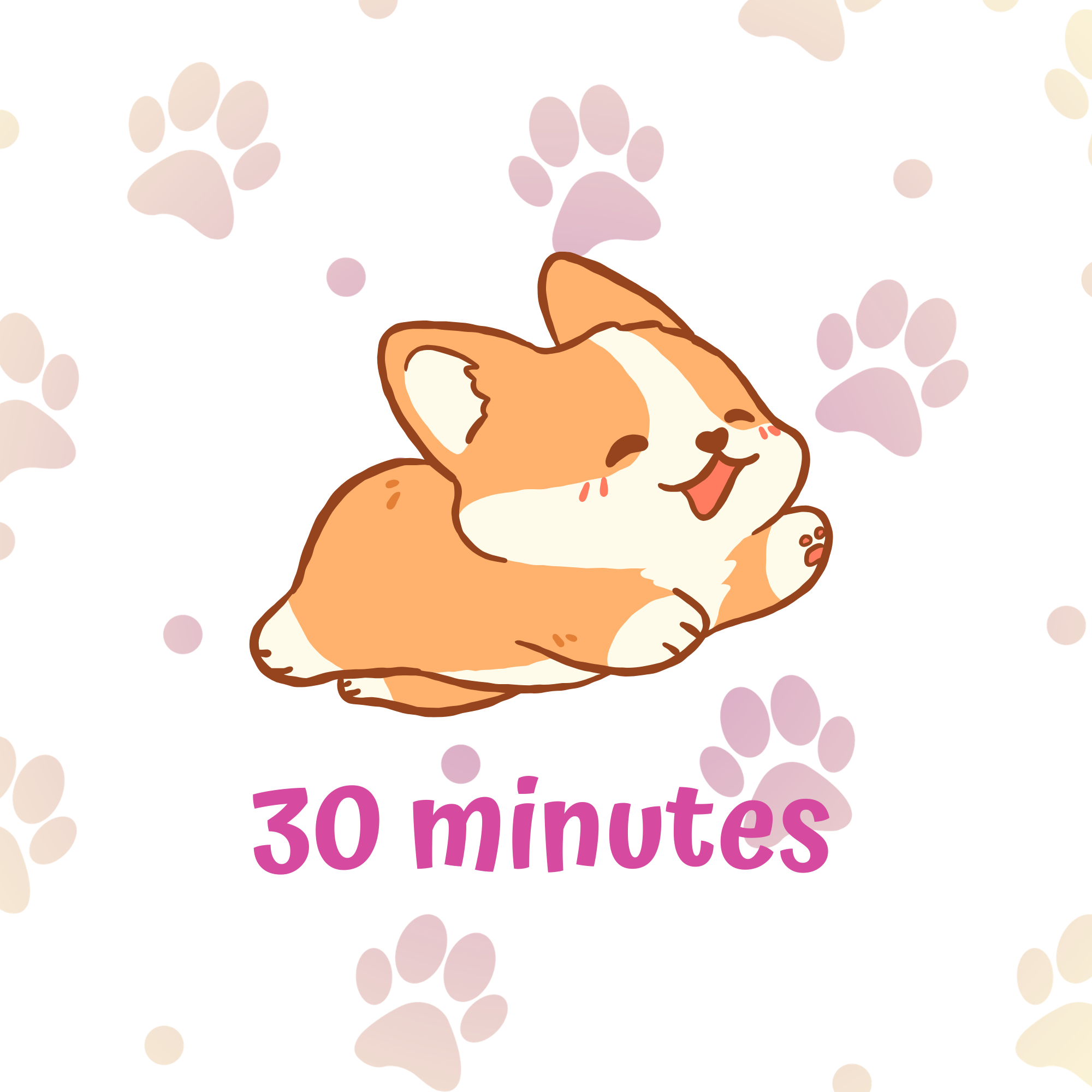 Dog Walking - 30 Minutes