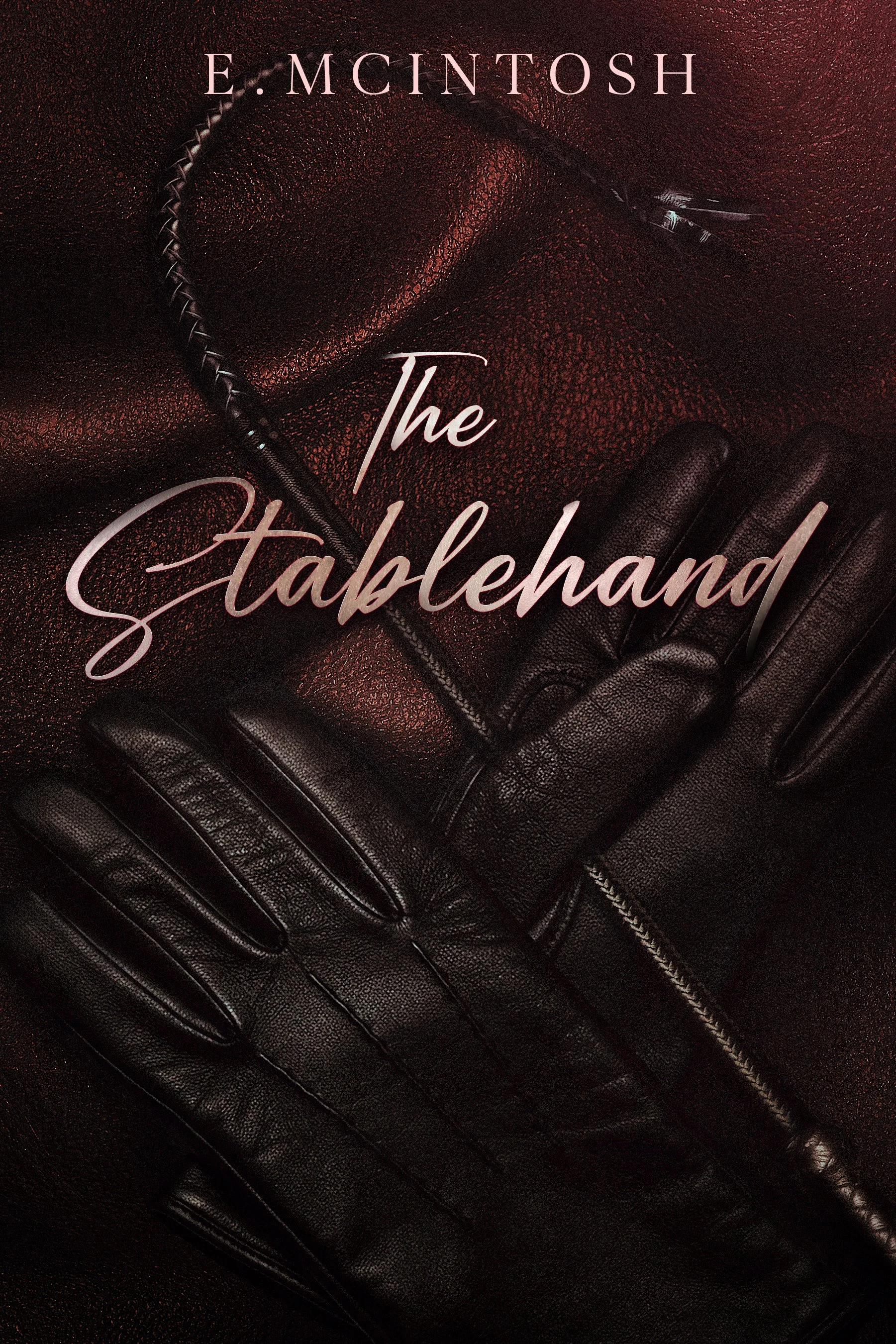 Book titled 'The Stablehand' by E. McIntosh with a background of black leather gloves on a textured, dark red fabric surface.