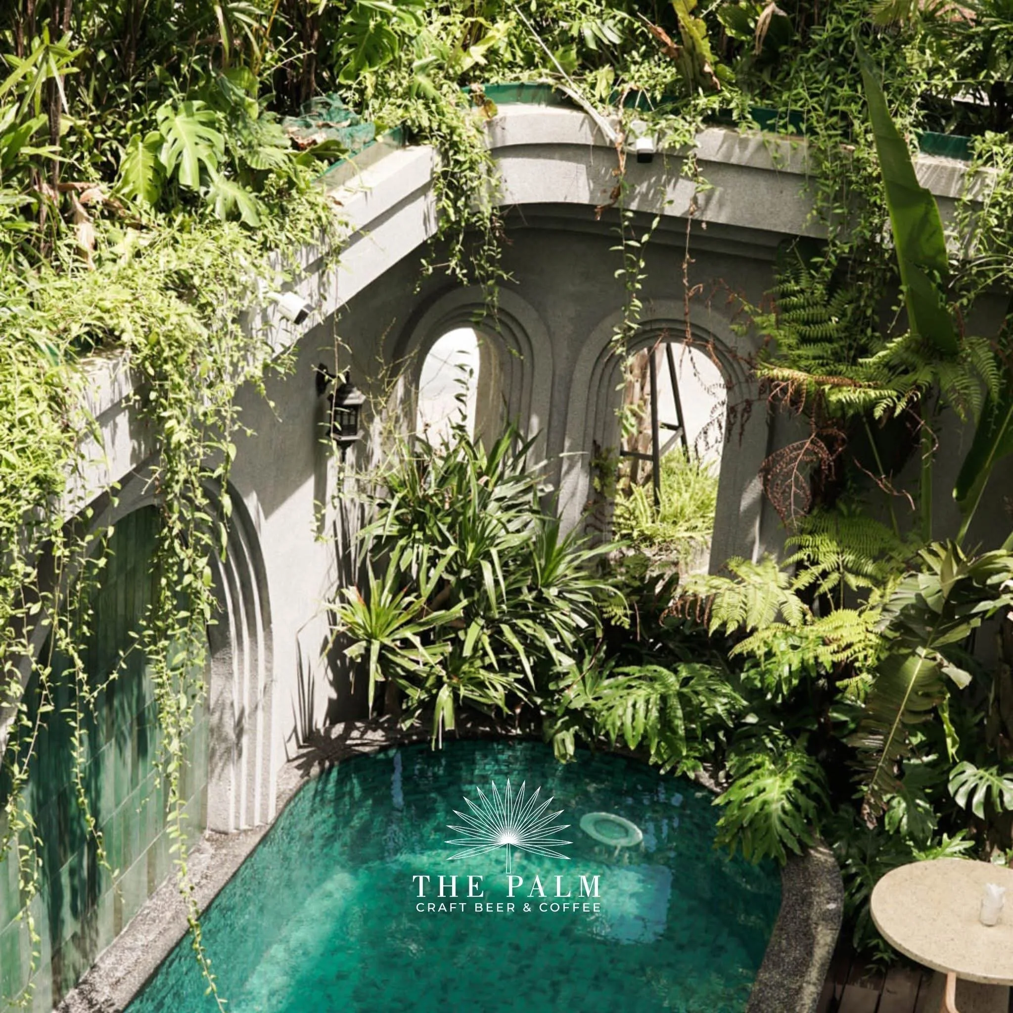 An outdoor scene with lush green plants surrounding a small swimming pool with curved walls, located in a tropical or garden setting, featuring the text 'The Palm Craft Beer & Coffee' overlaid at the bottom.
