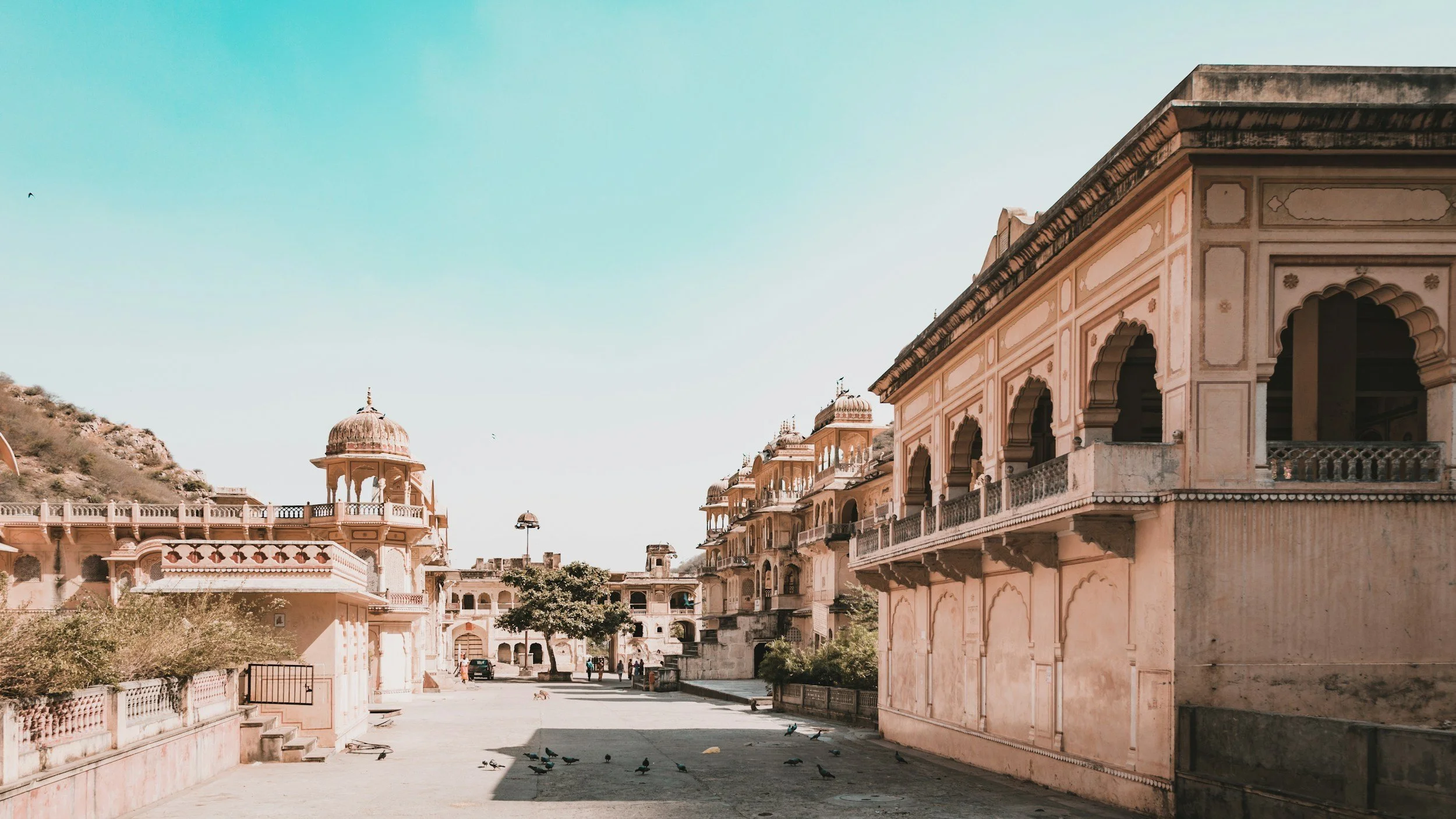 unsplash-image-ybu4dJPMF-c.jpg