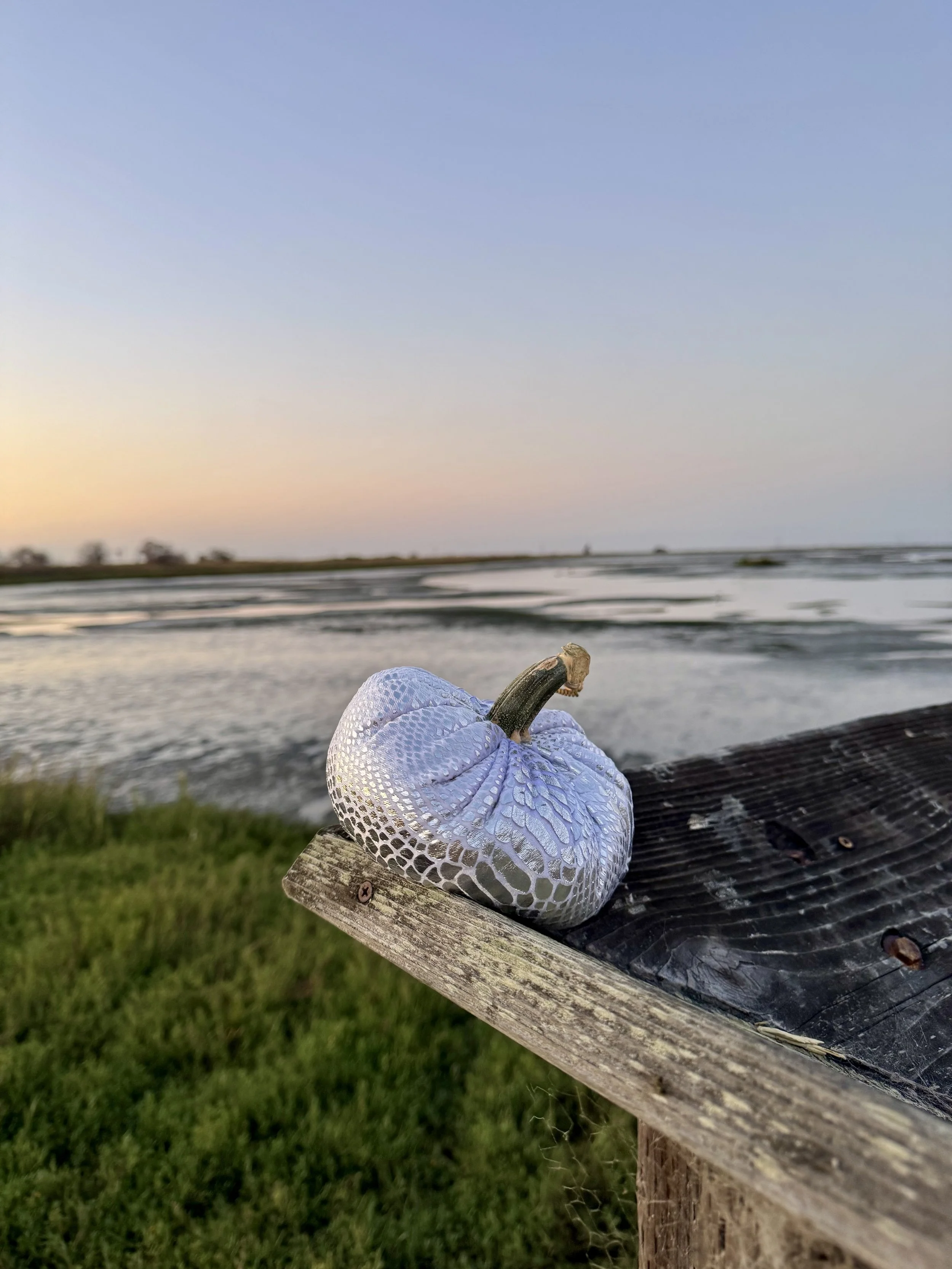 Signature Velvet Pumpkins
