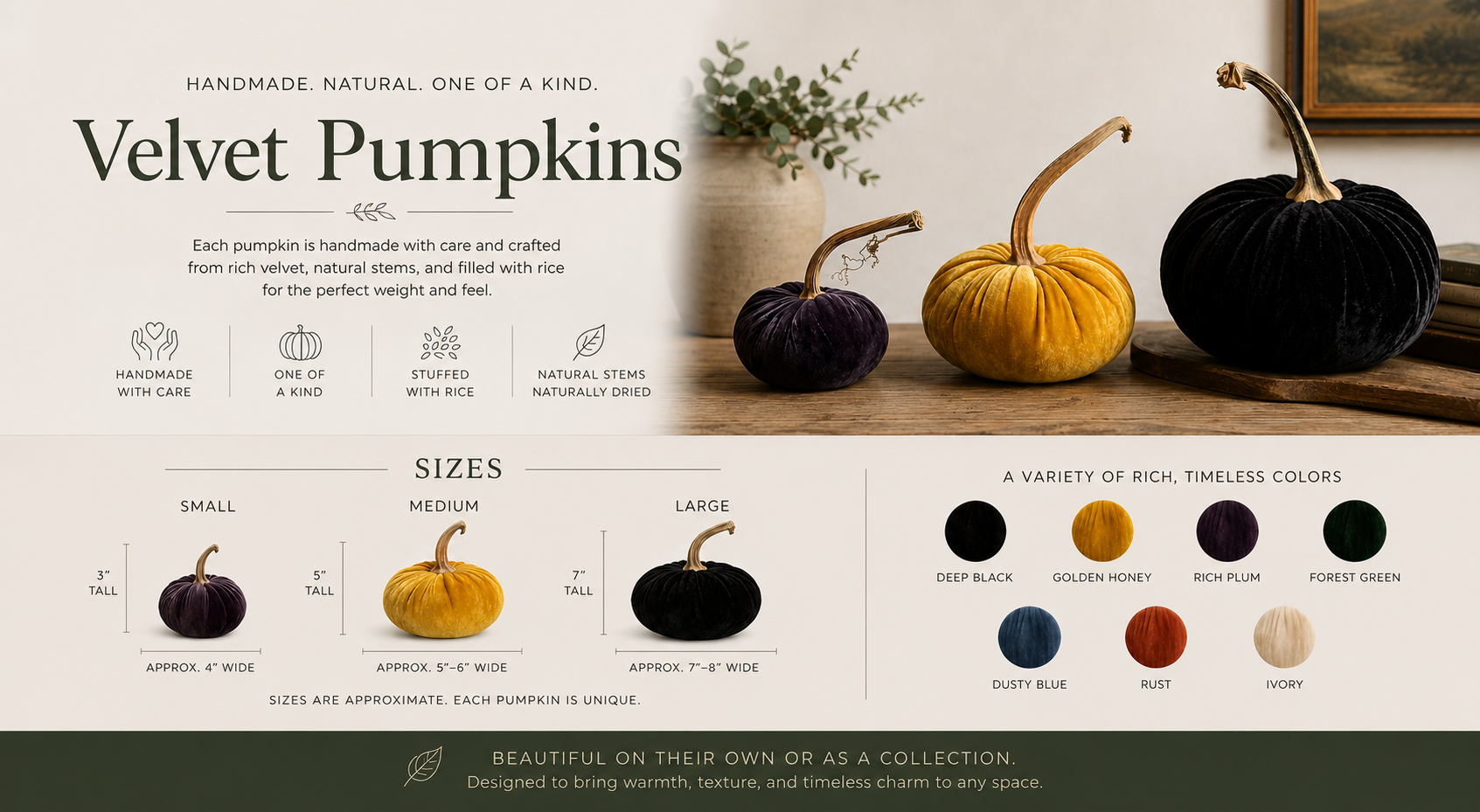 Display of velvet pumpkins in various sizes and colors, including deep black, golden honey, rich plum, forest green, dusty blue, rust, and ivory, arranged on a wooden surface with a decorative background.