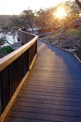 A wooden pathway on a hill with a black railing, leading towards trees and a sunset in the background.
