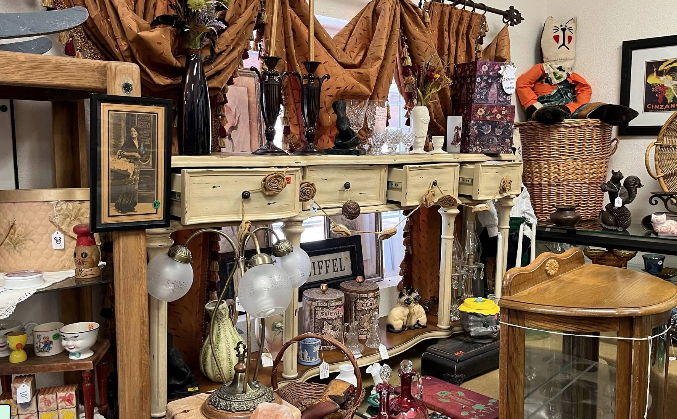 RAIN Rescue Animal Adoption Center and Thrift Store interior