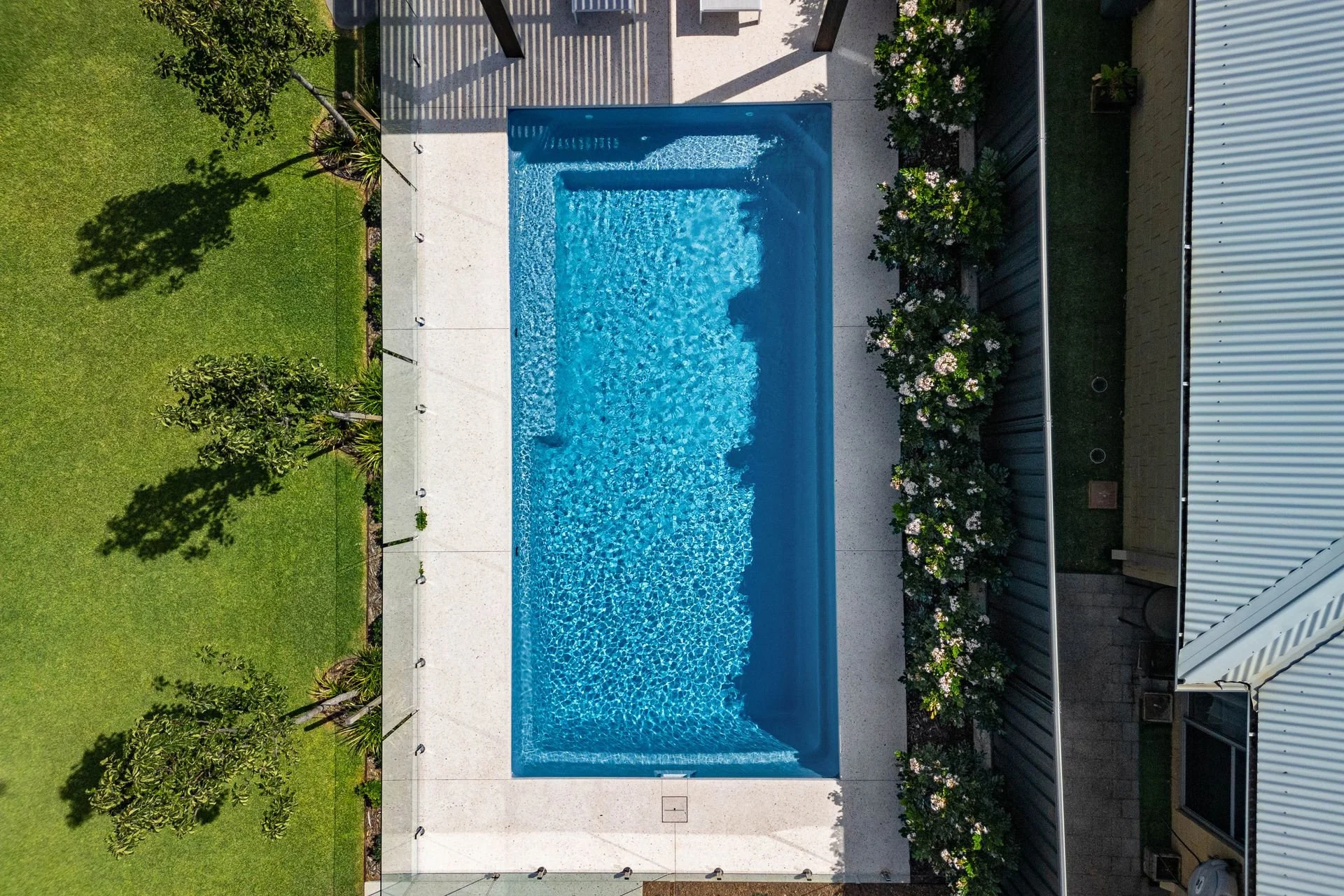 A deep blue coloured pool set in-ground in front of a tall gum tree