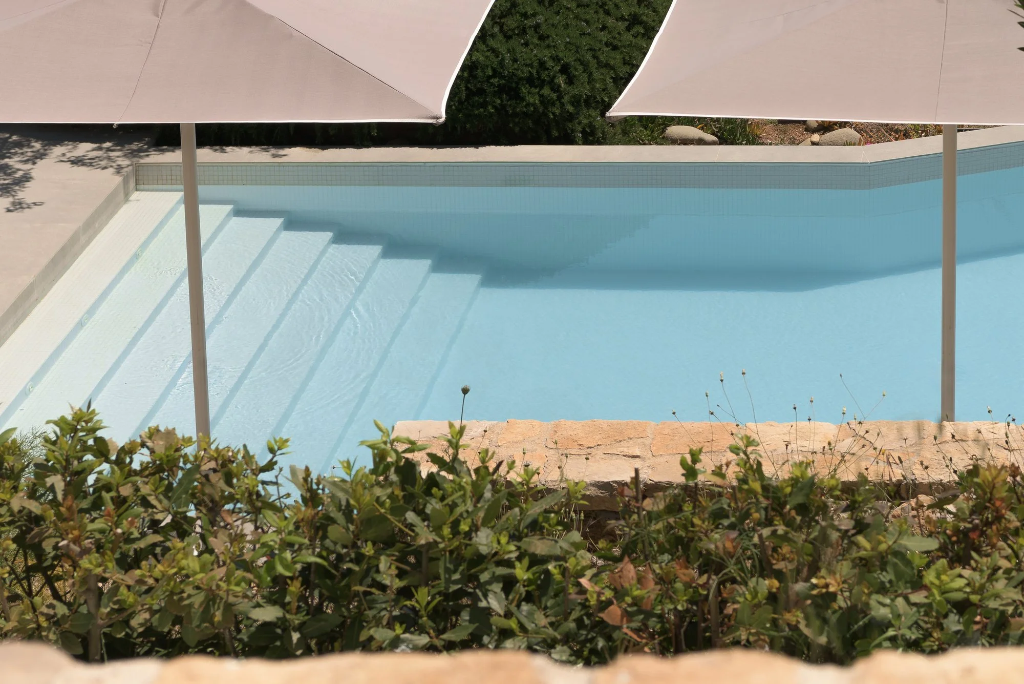 Outdoor swimming pool framed by Mediterranean greenery and coastal light.