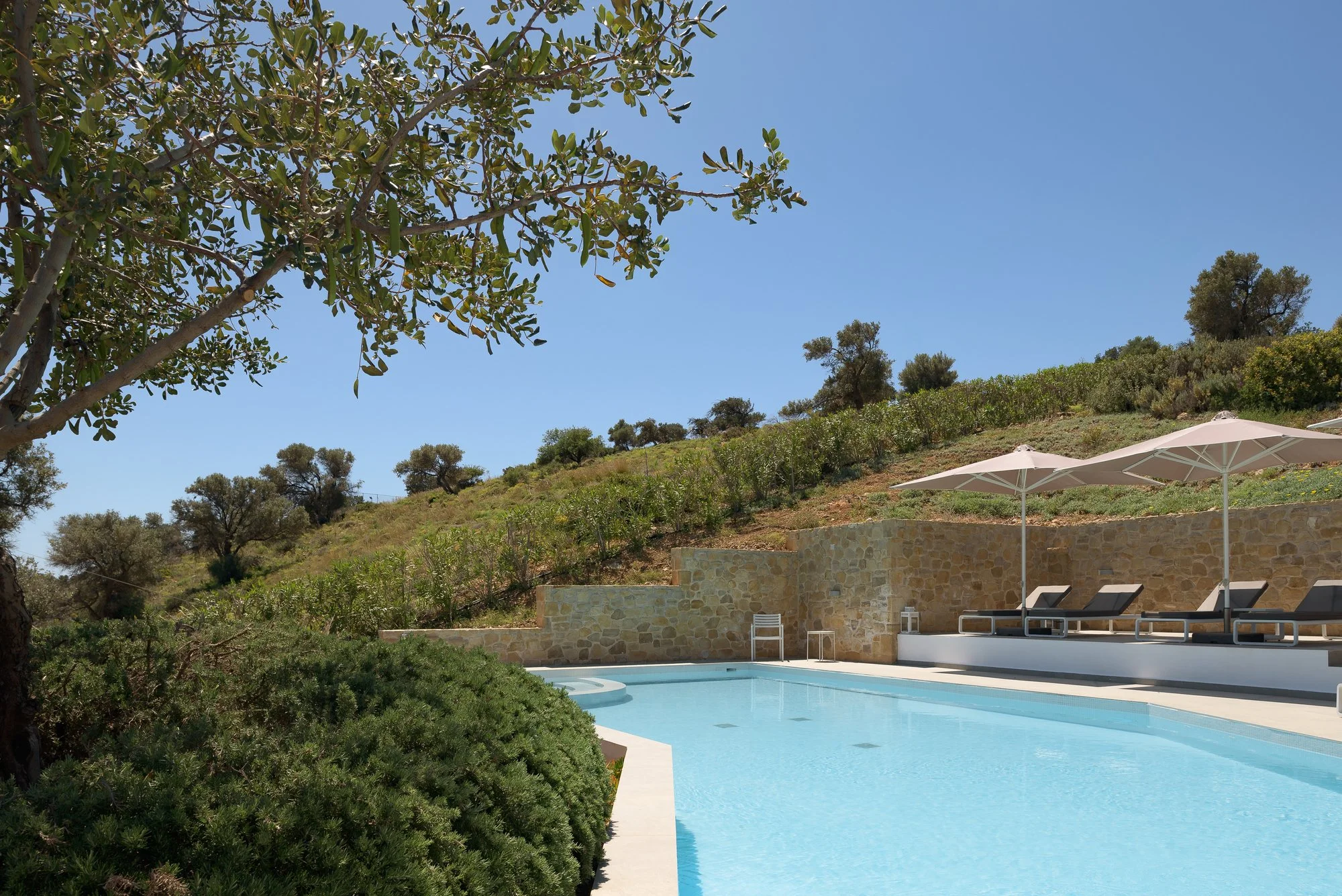 Infinity pool surrounded by olive trees and natural stone terraces at Galini Breeze.