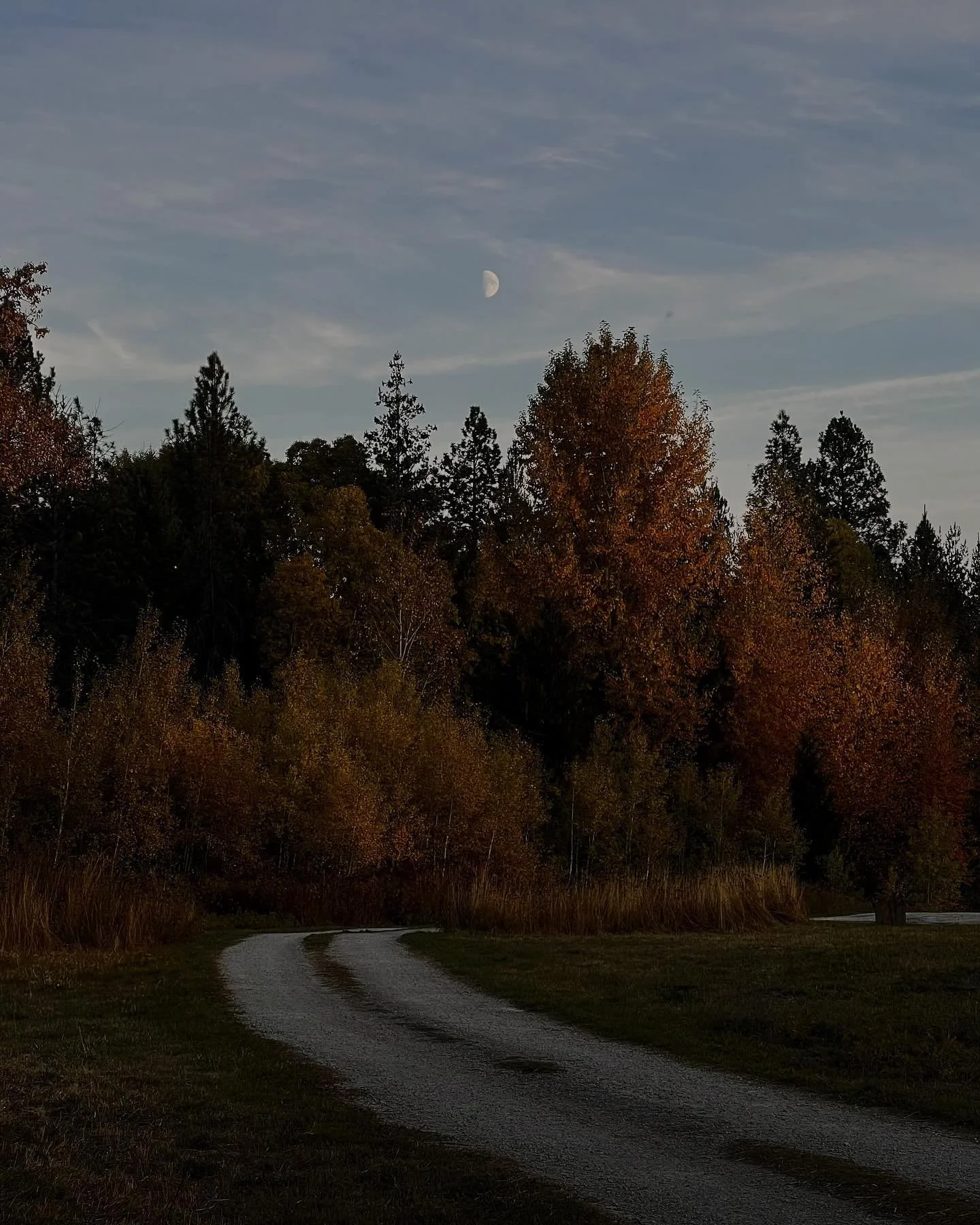 do you feel the way the seasons shift your heart? quietly, inwardly. colder, yet warmer. as it's meant to be. not more, not less. 🤍