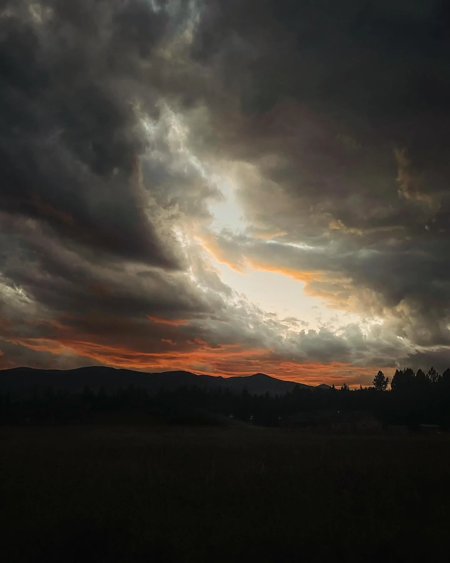 "maybe the happy ending is a calm nervous system, a peacefulness that cannot be threatened."