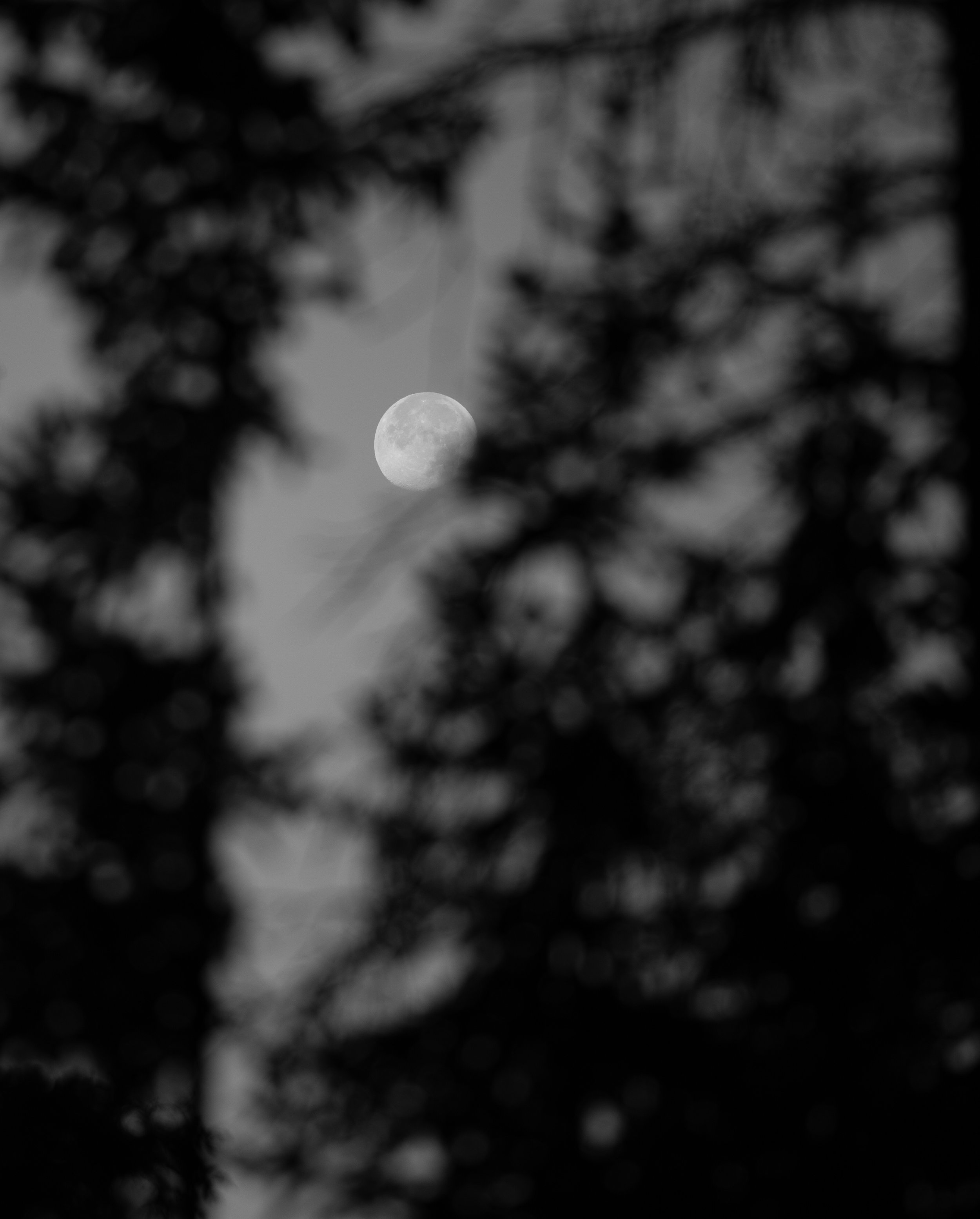 IMG_6312.JPEG
