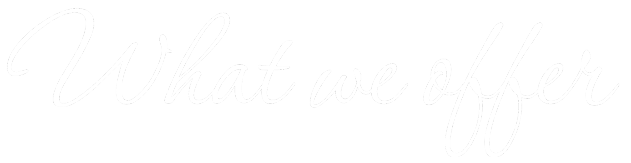 Black background with white cursive text saying "What we offer".
